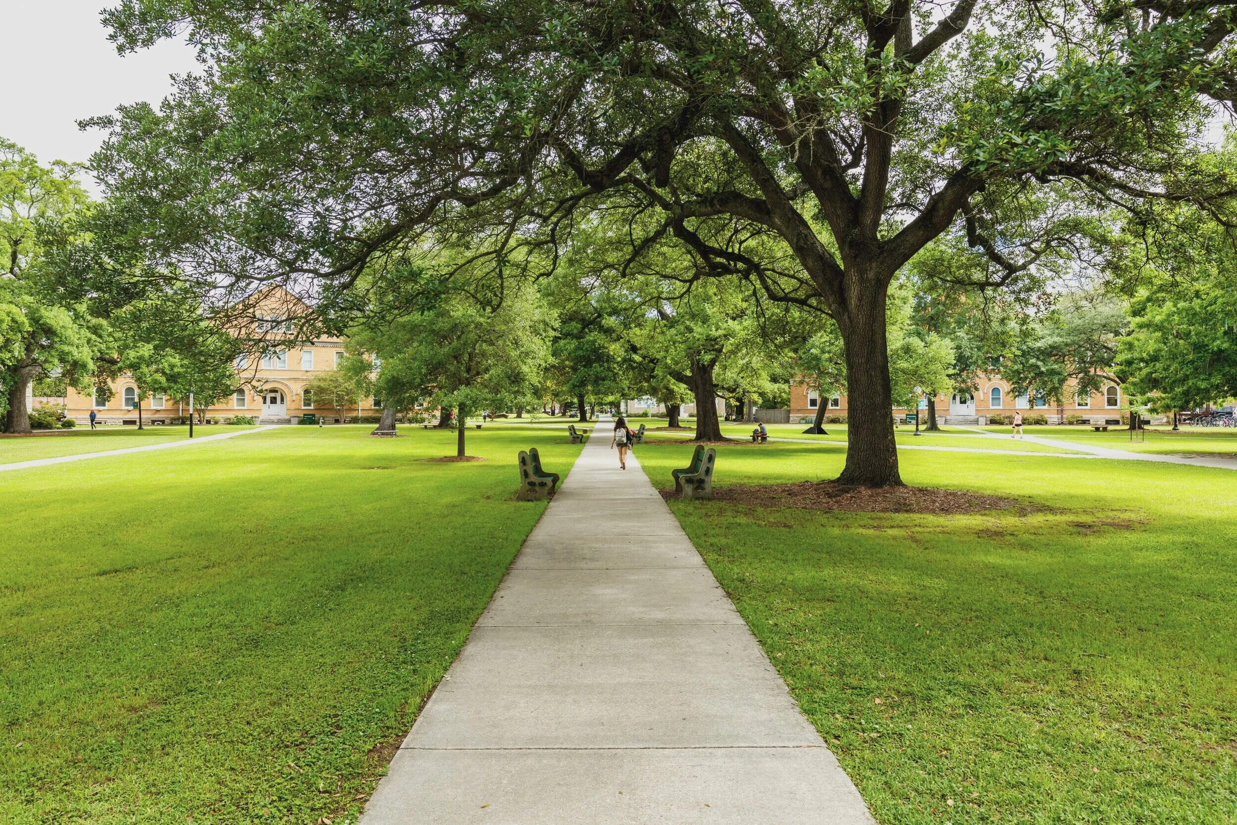 Excelsior Admissions Consulting
