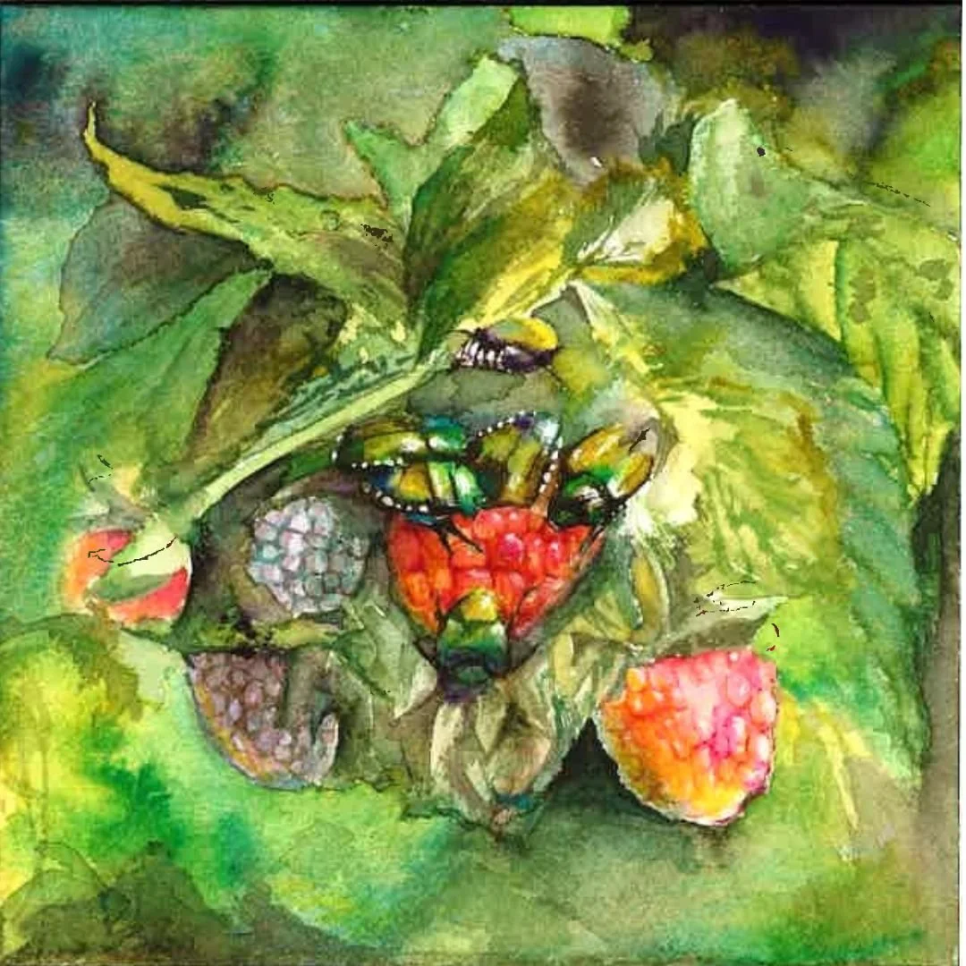 Adult Beginner Watercolor 102