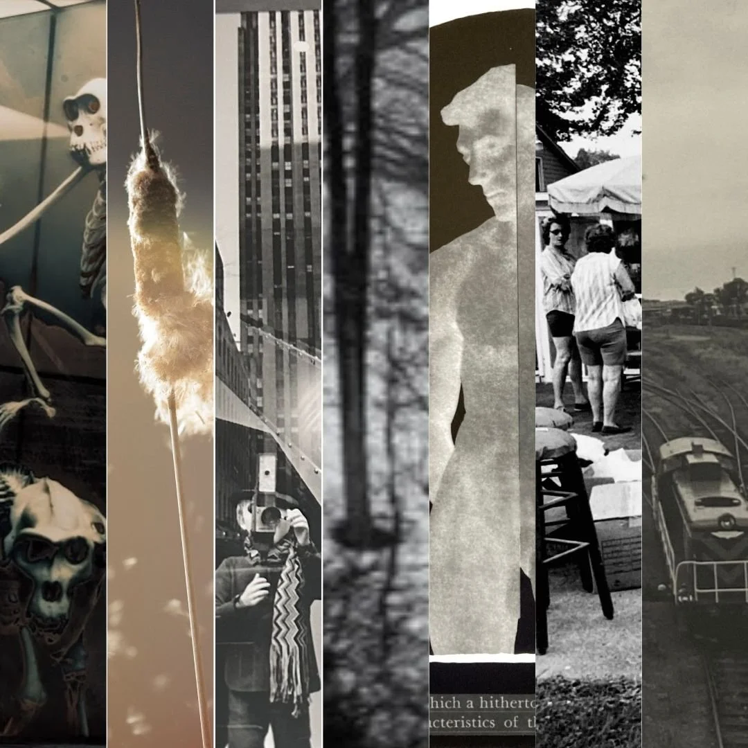 Photography Invitational 