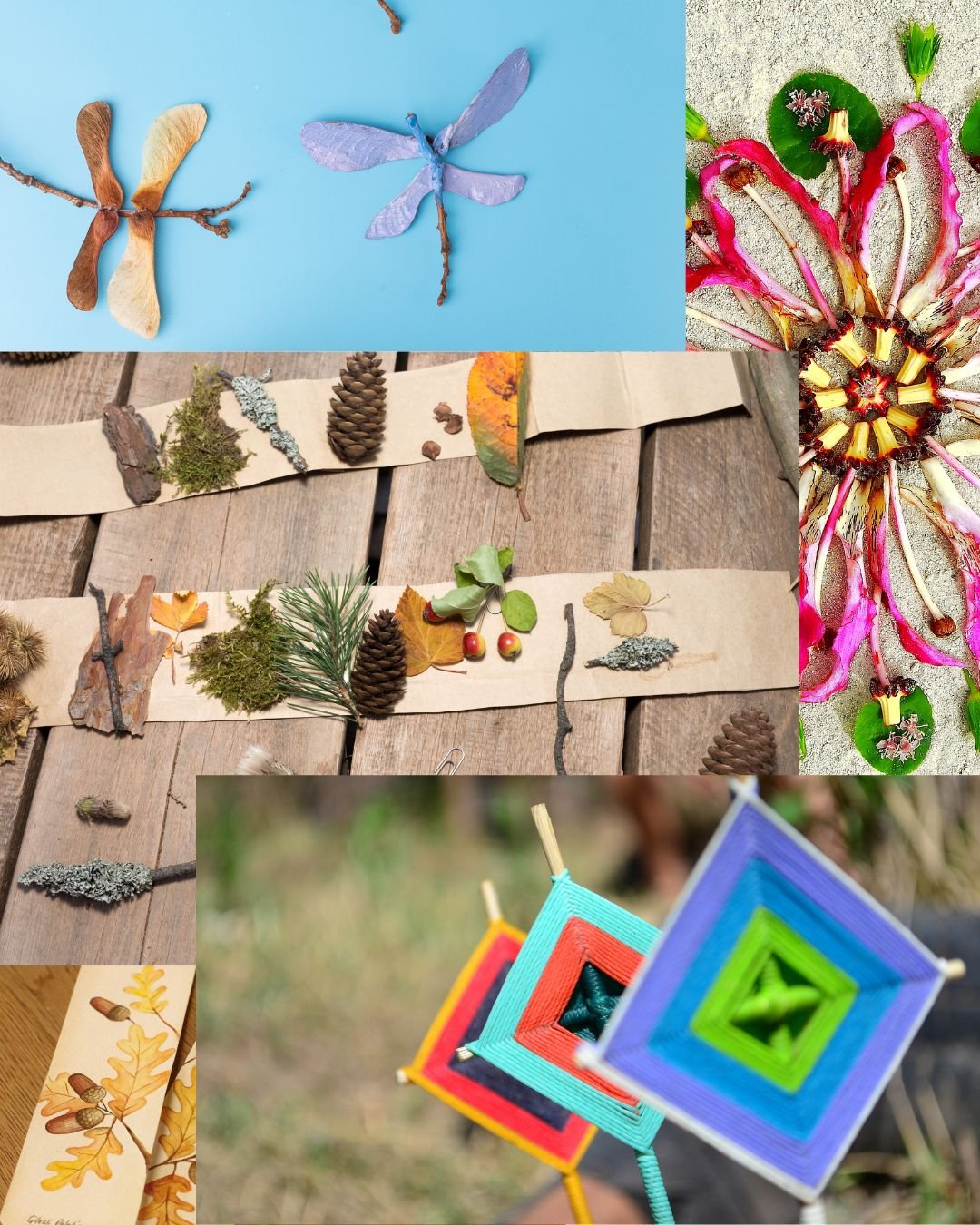 Movement & Nature Camp