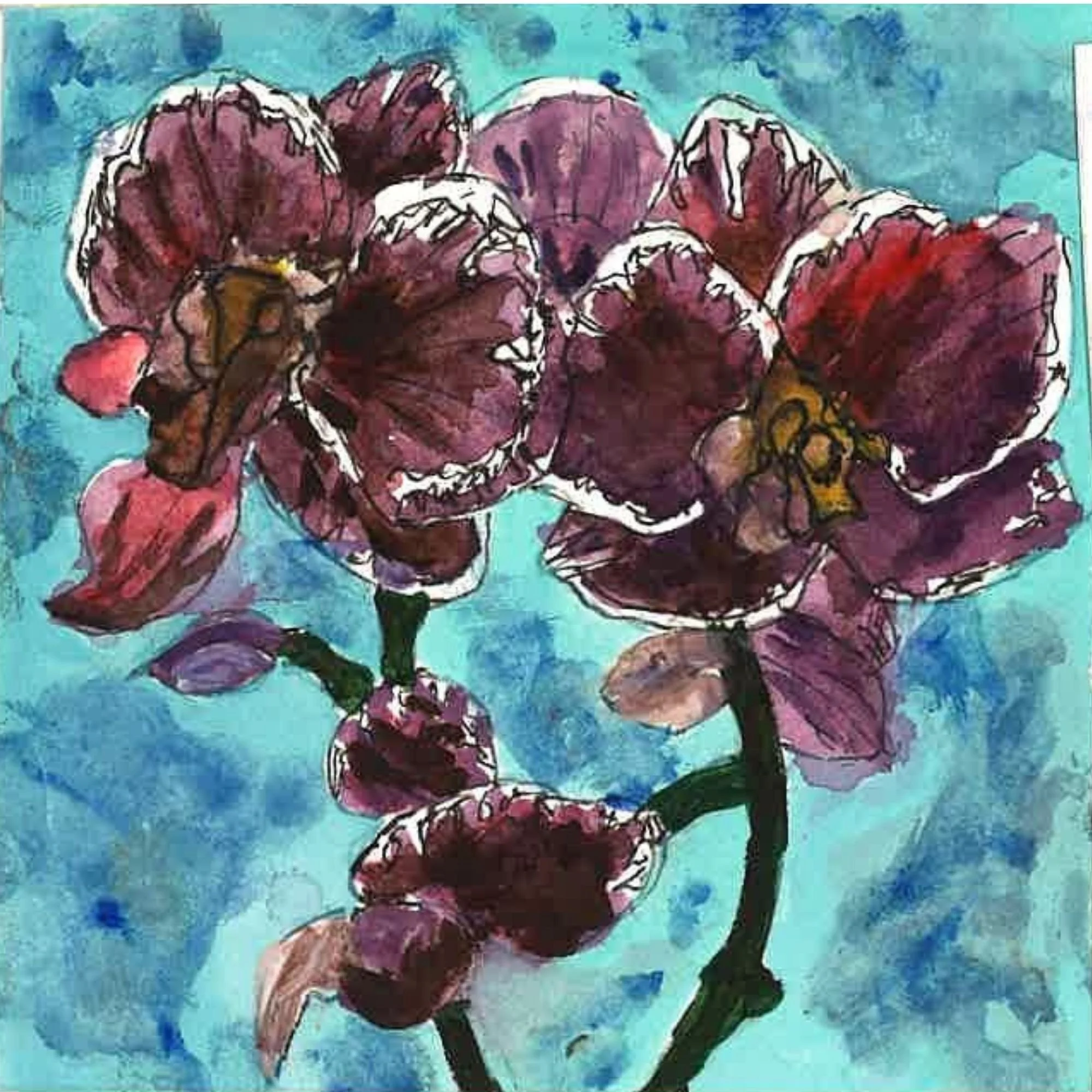 156. Orchids
