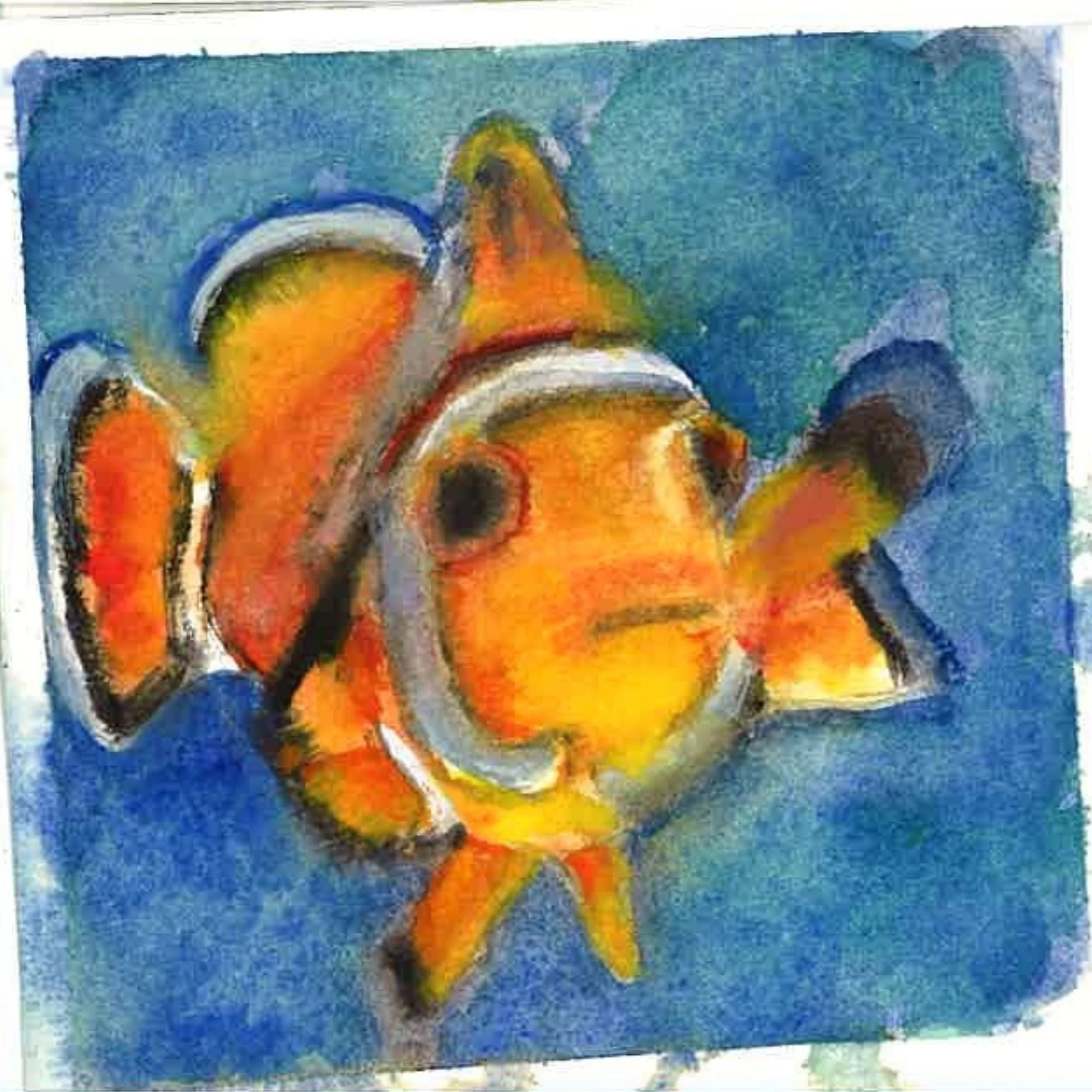 153. Clown Fish