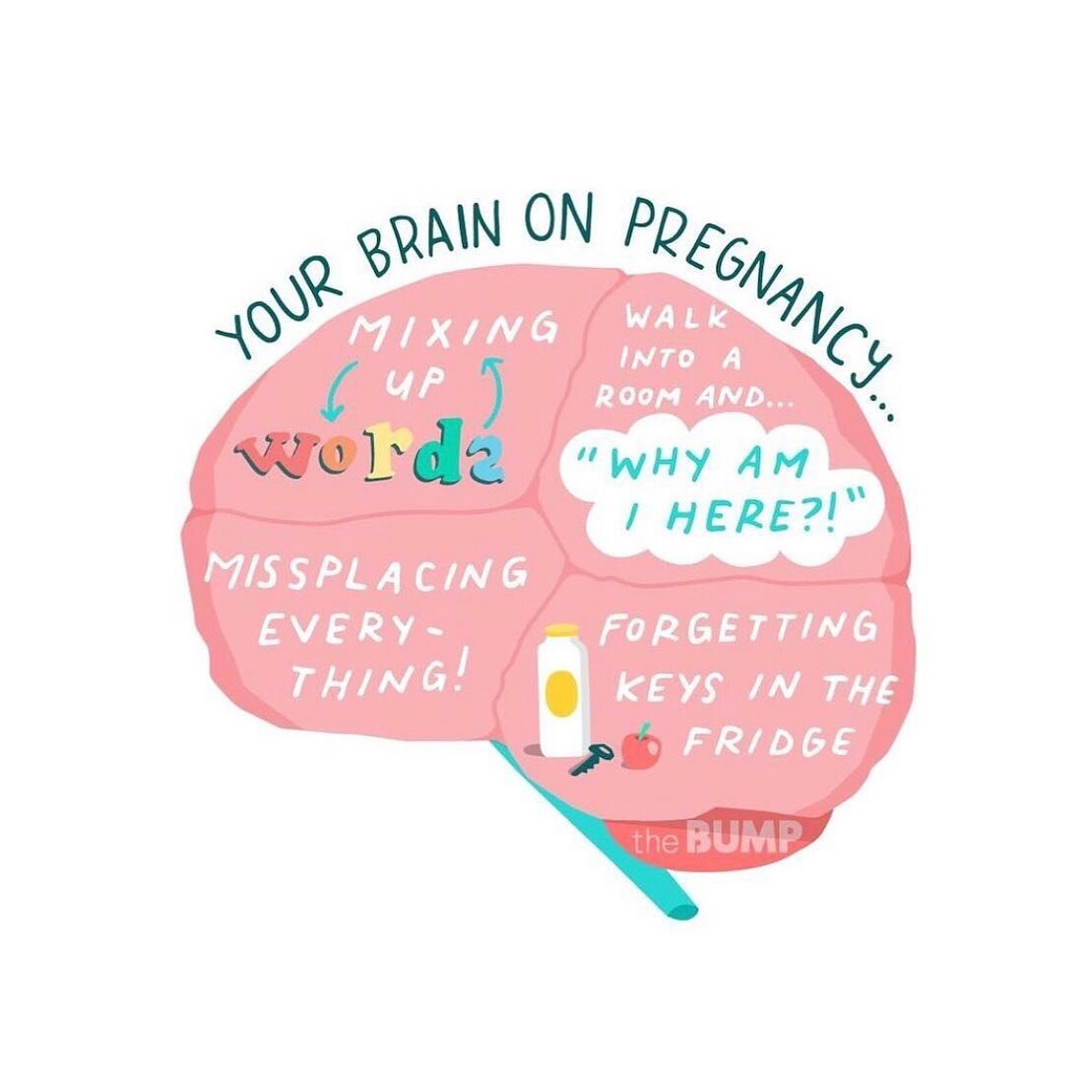 Is pregnancy brain real? 🧠👶🏻

How does pregnancy change the brain both thought-wise and physically? What are the hormonal impacts? 

I am going live tonight with @cleansingcourtney at 9:30 EST to discuss these questions and reveal a new project we