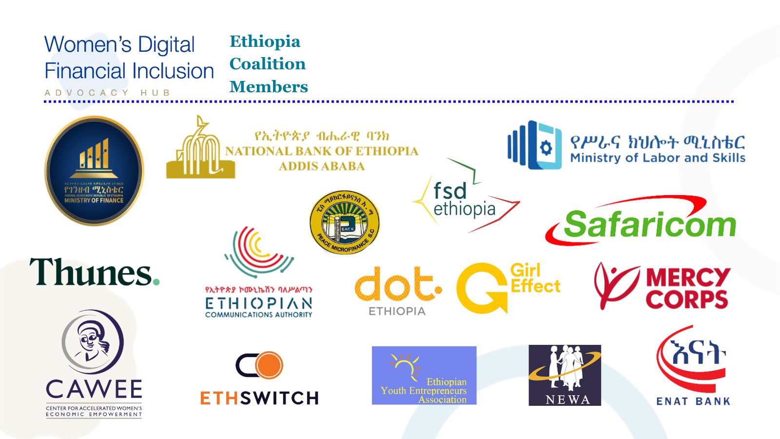 Women’s Digital Financial Inclusion Advocacy Hub — UNCDF Policy Accelerator
