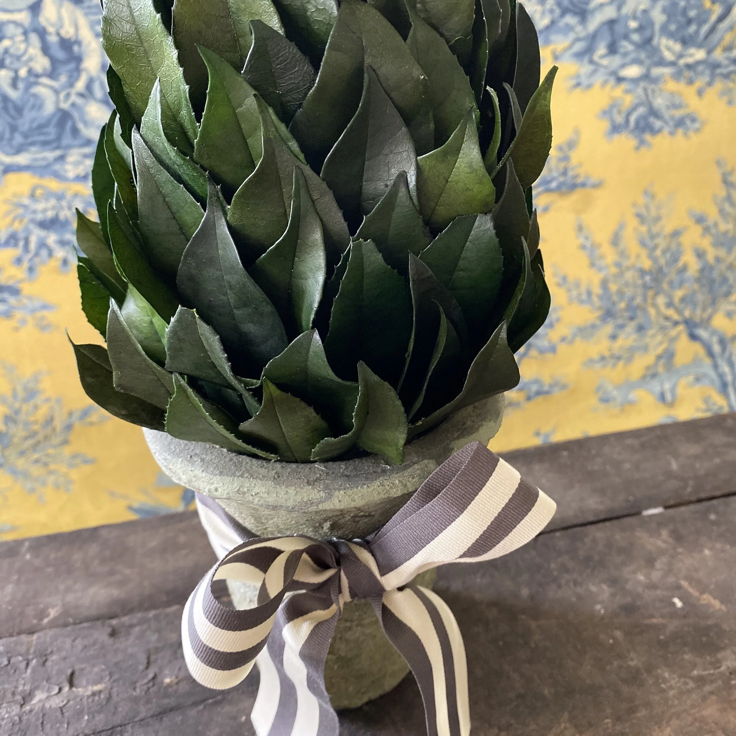 Topiary made on preserved lemon leaves, perfect for seasonal decorating.