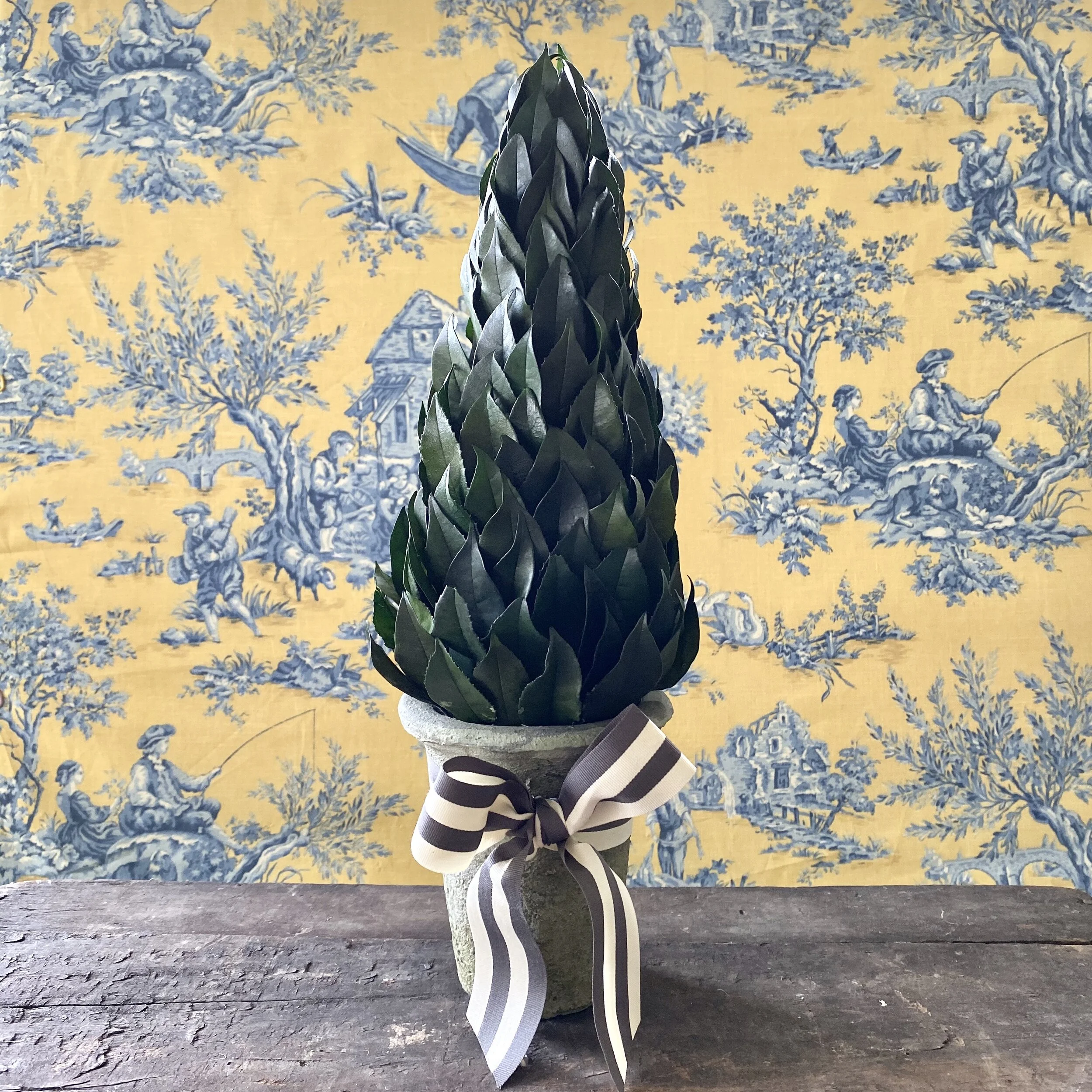 Topiary made on preserved lemon leaves, perfect for seasonal decorating.