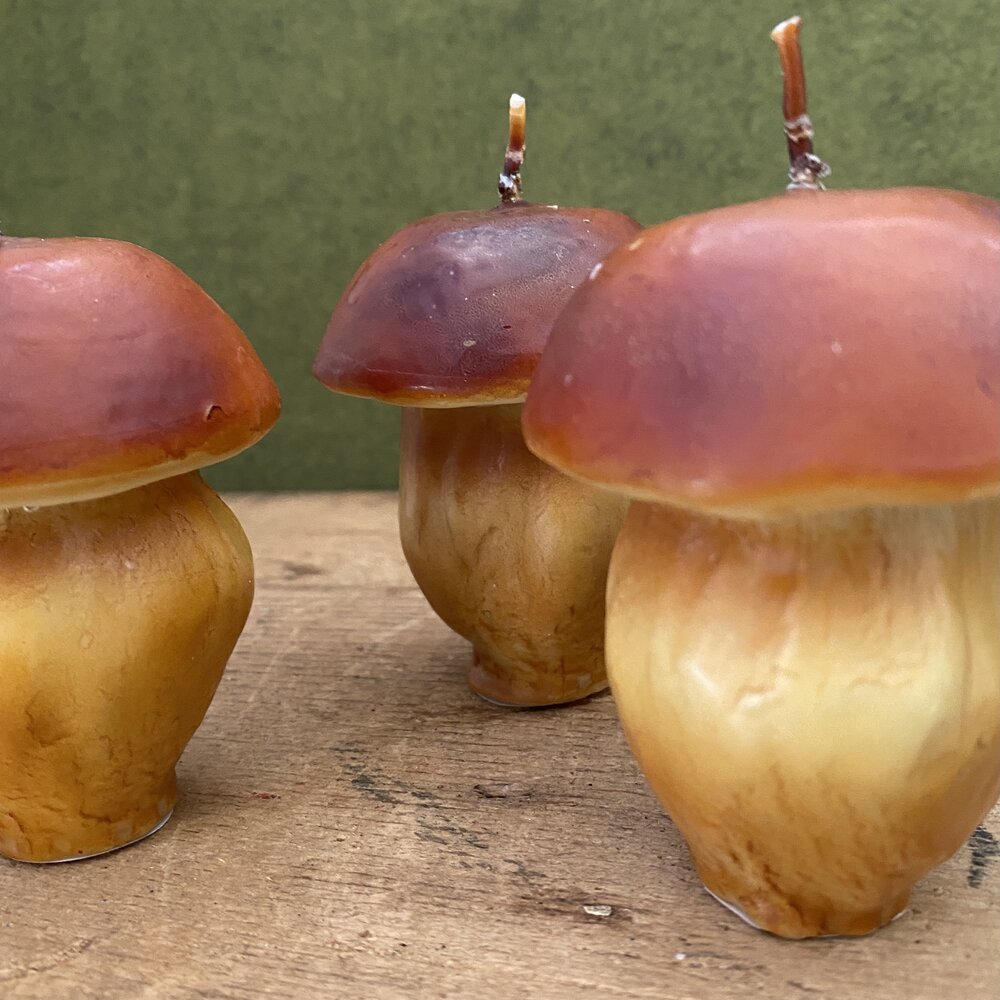 Porcini Mushroom Candle — Fruit and Flower Shop