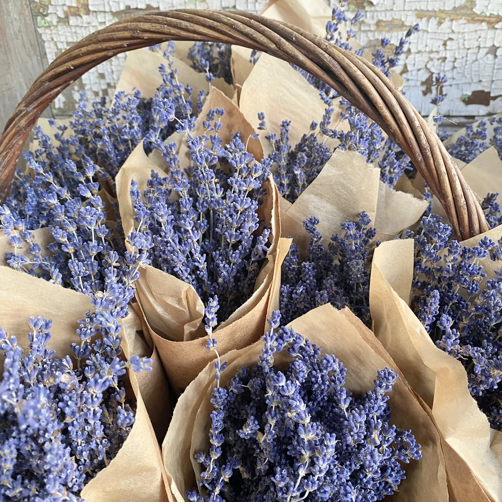 English Lavender — Fruit and Flower Shop
