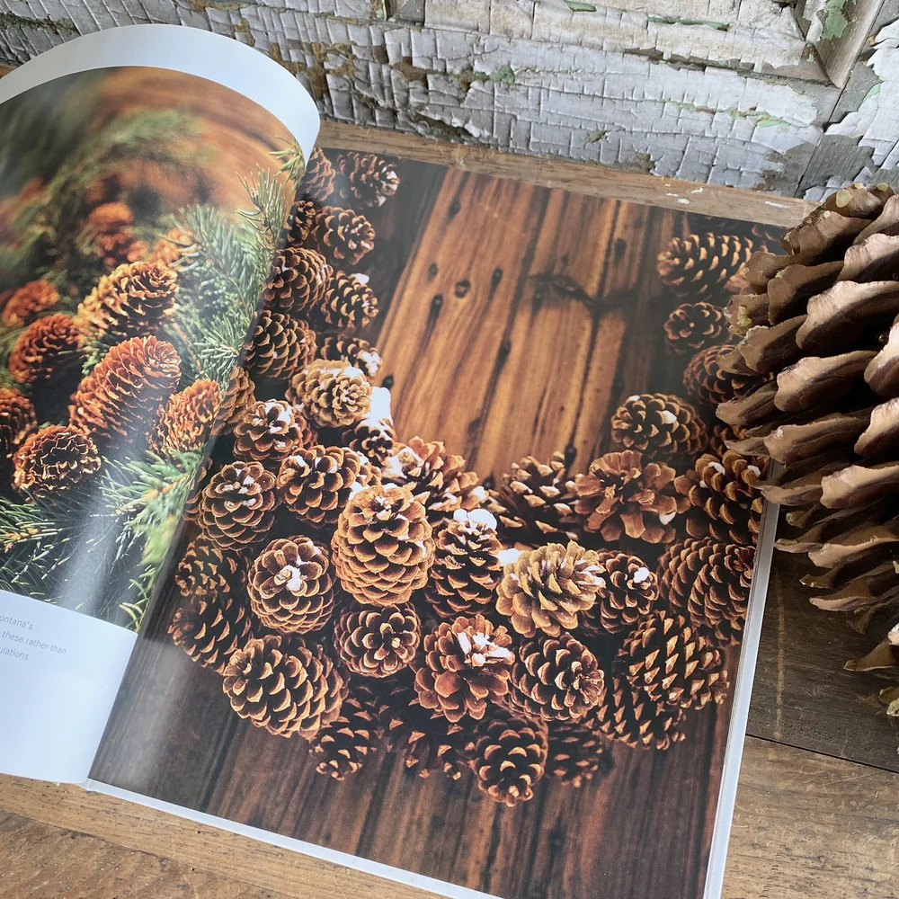 Martha Stewart's Great American Wreaths — Fruit and Flower Shop