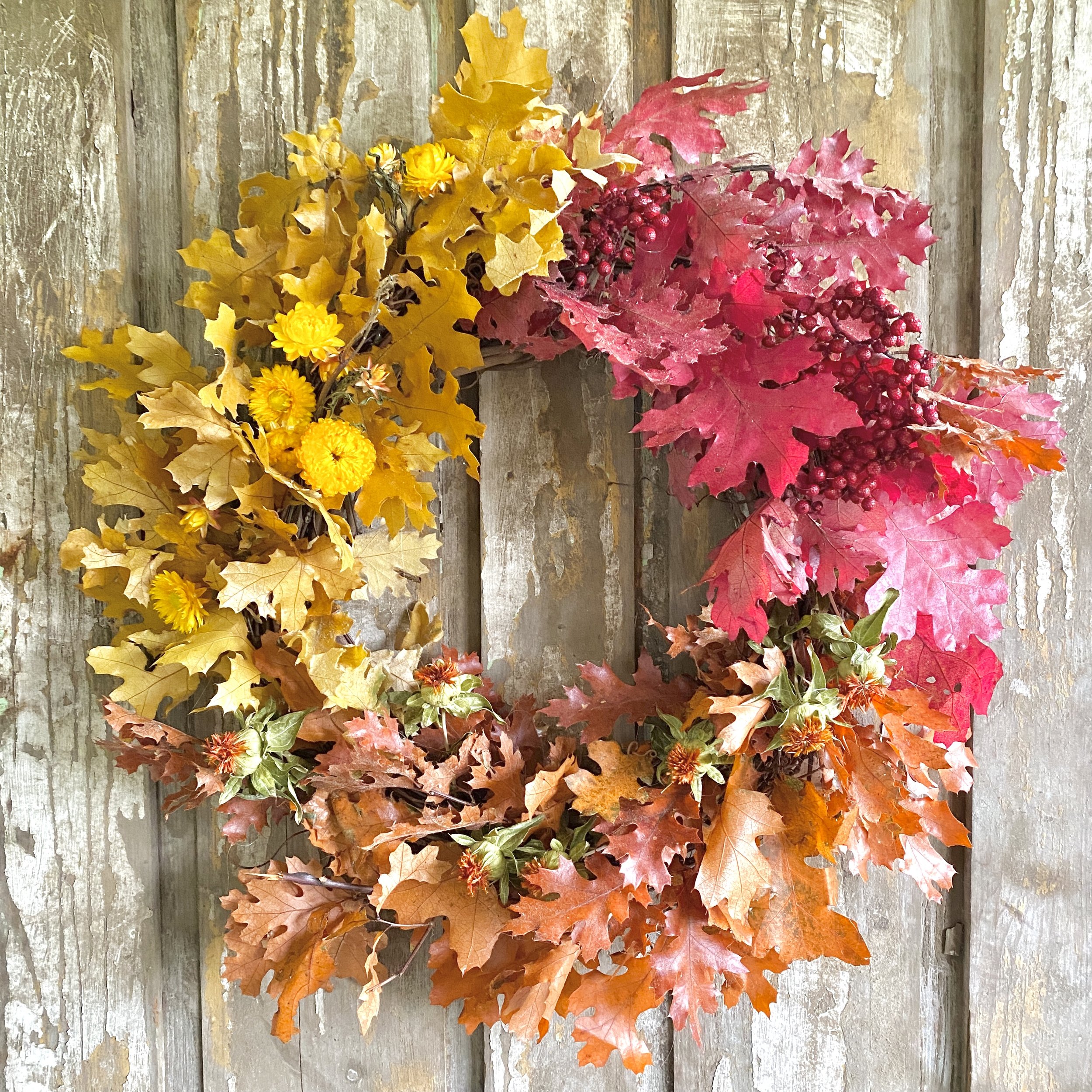 Preserved Autumn Oak Wreath