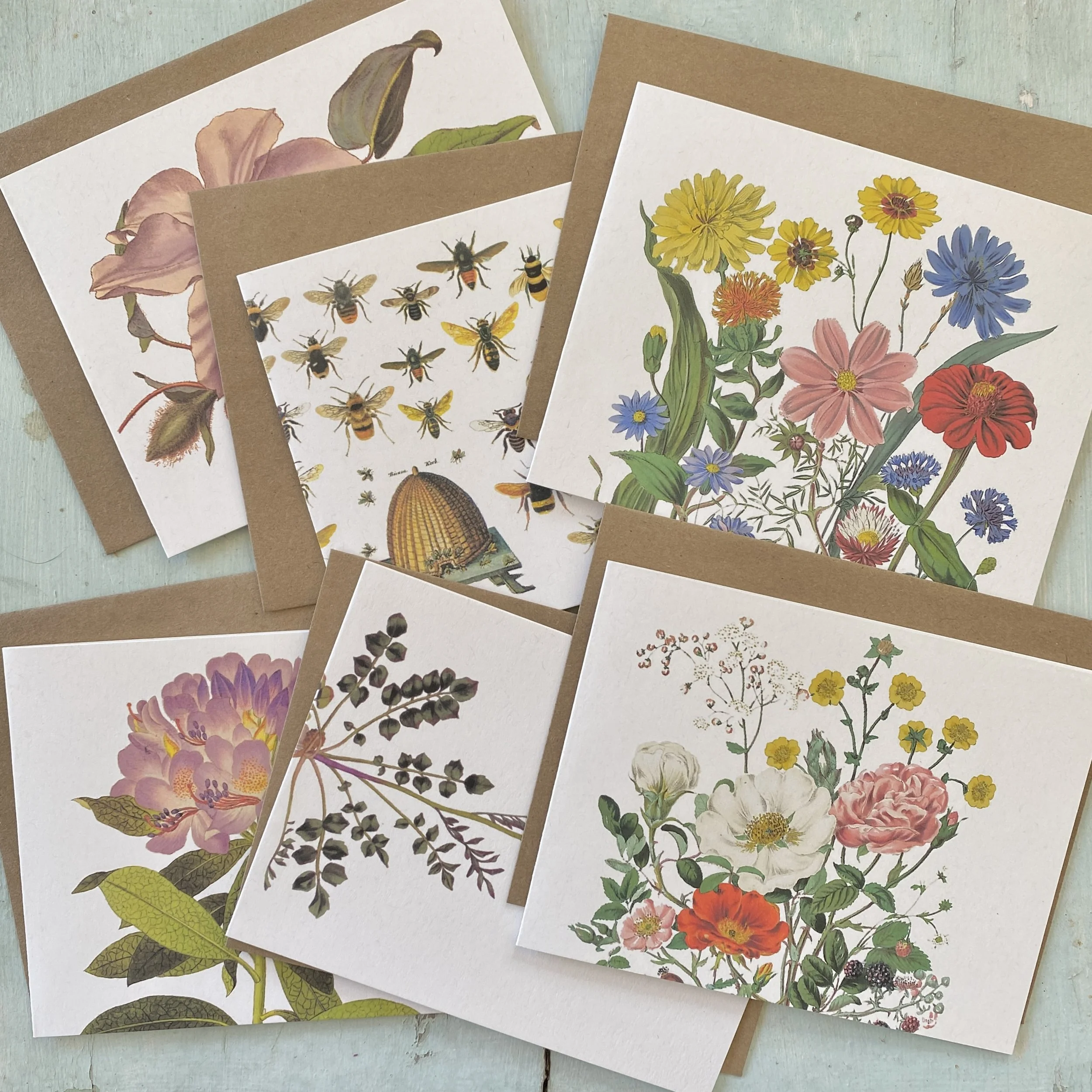 Garden Greeting Card Set