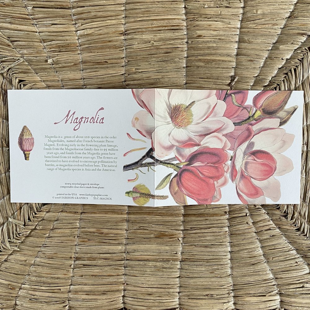 asuna card sleeves Floral Birthday Card White and Green Magnolia and Poppy – Stocklist main image 0