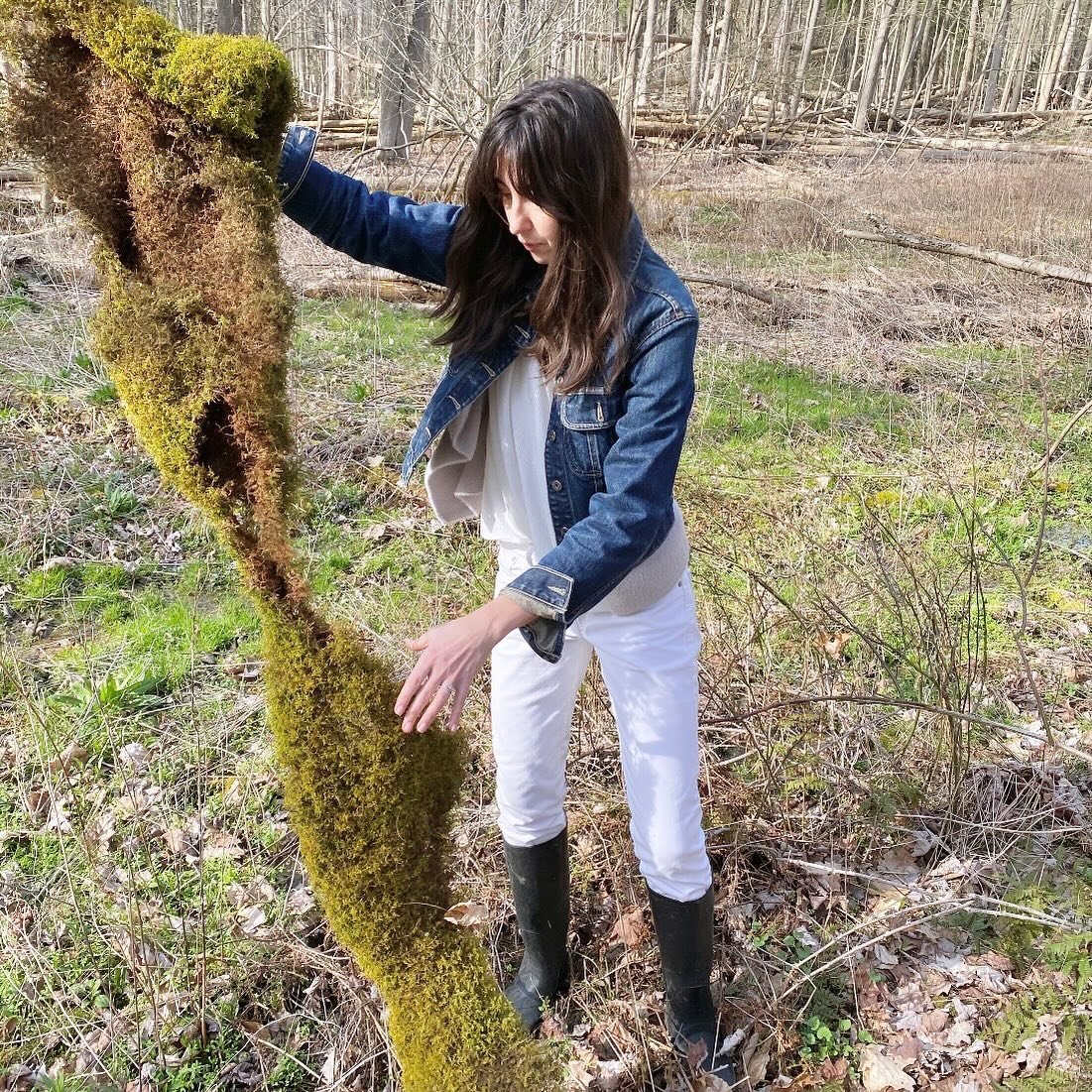 Springtime swamp harvest 🌱
.
.
.
#fruitandflower #flowershop #driedflowers #spring #harvest #moss #inthewoods #swamp #pennsylvania #springtime