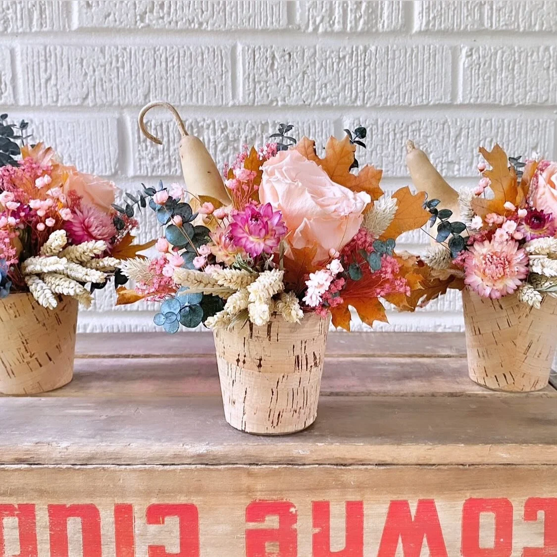 Happy Halloween Eve! 🧡
Volant shop open Saturday, the first of November, from 11 to 5 for a final harvest day before holiday descends!

Very nearly the most wonderful time of the year - holiday open house Saturday, November 8th! 💕
.
.
.
#fruitandfl