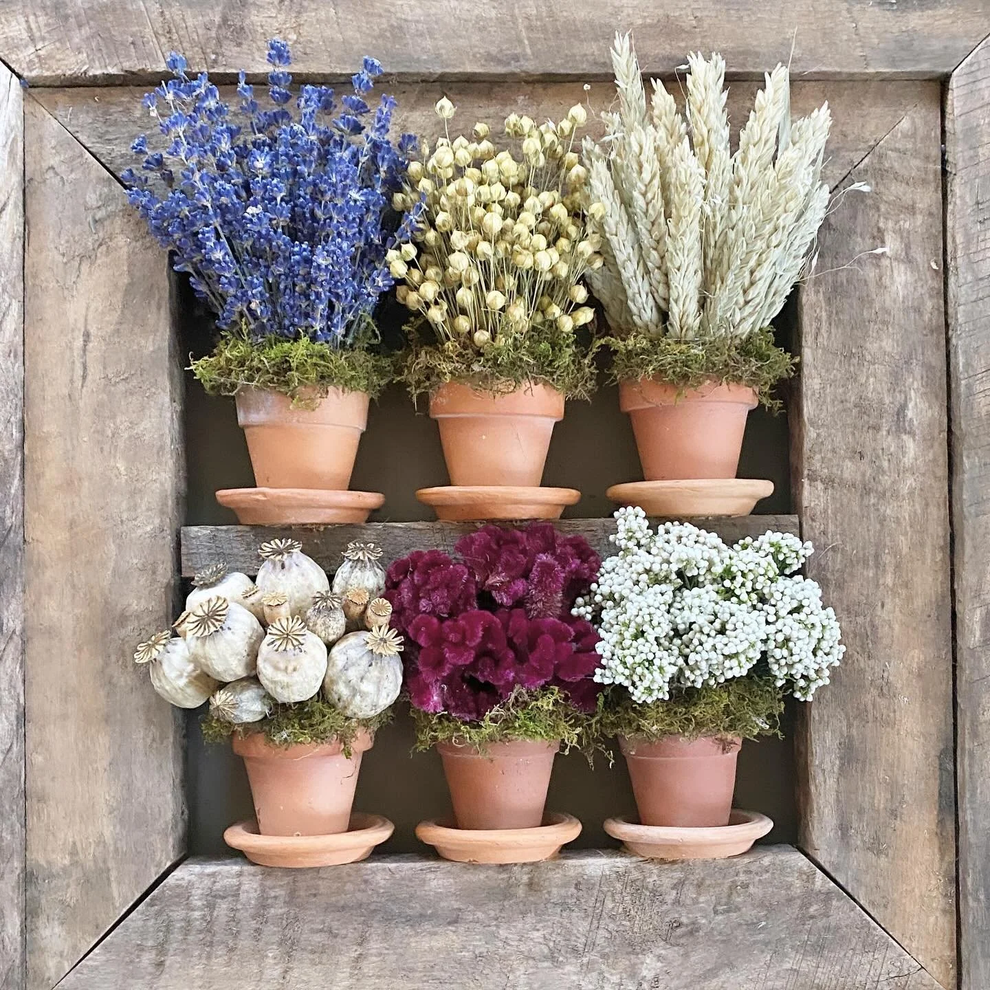 Something new from something old - a recent custom refurbishment of a classic dried flower wall piece 🤍
.
.
.
#fruitandflower #flowershop #driedflowers #driedflowerstyle #gardenstyle #beforeandafter #forthehome #gardendecor #naturalflowers #lavender