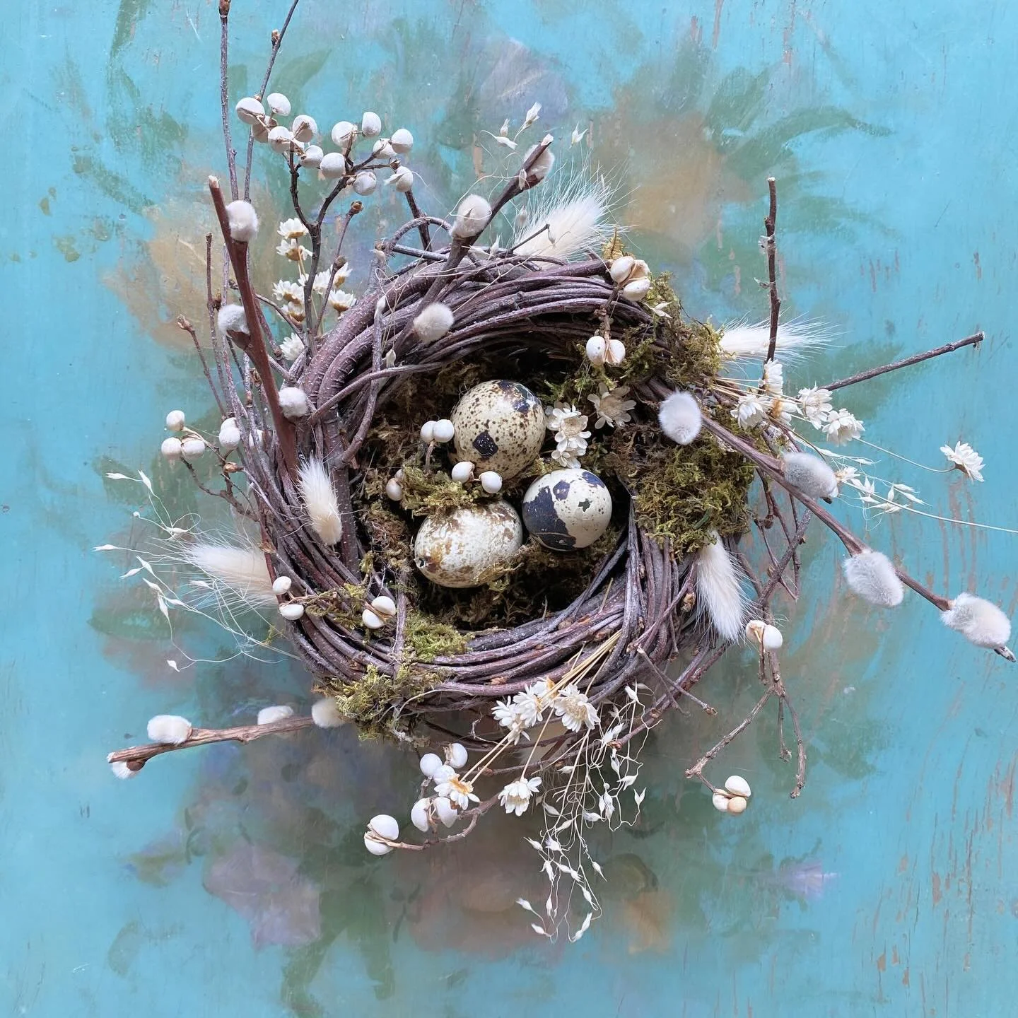 Officially quail egg season! Hand-twisted birch nests coming soon, along with wreaths dotted with these speckled beauties 🤍
.
.
.
#fruitandflower #flowershop #driedflowers #springtime #birdsnest