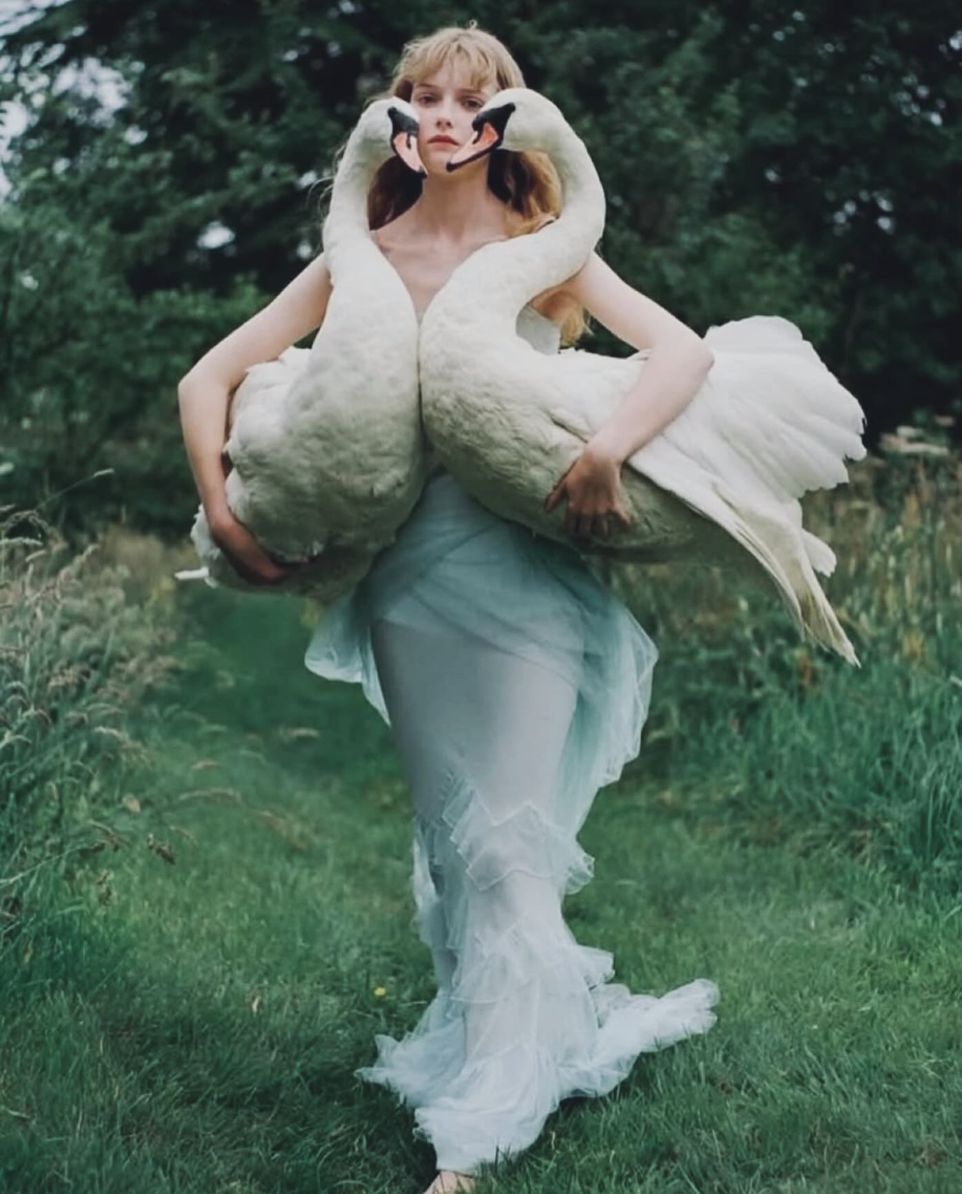 The power, the beauty, the inspiration - women do it all. Happy International Women&rsquo;s Day 🕊️🦢🤍

Sarah Daykin in John Galliano, photographed by Tim Walker, 1997.
.
.
.
#fruitandflower #flowershop #internationalwomensday #womanowned #girlpower