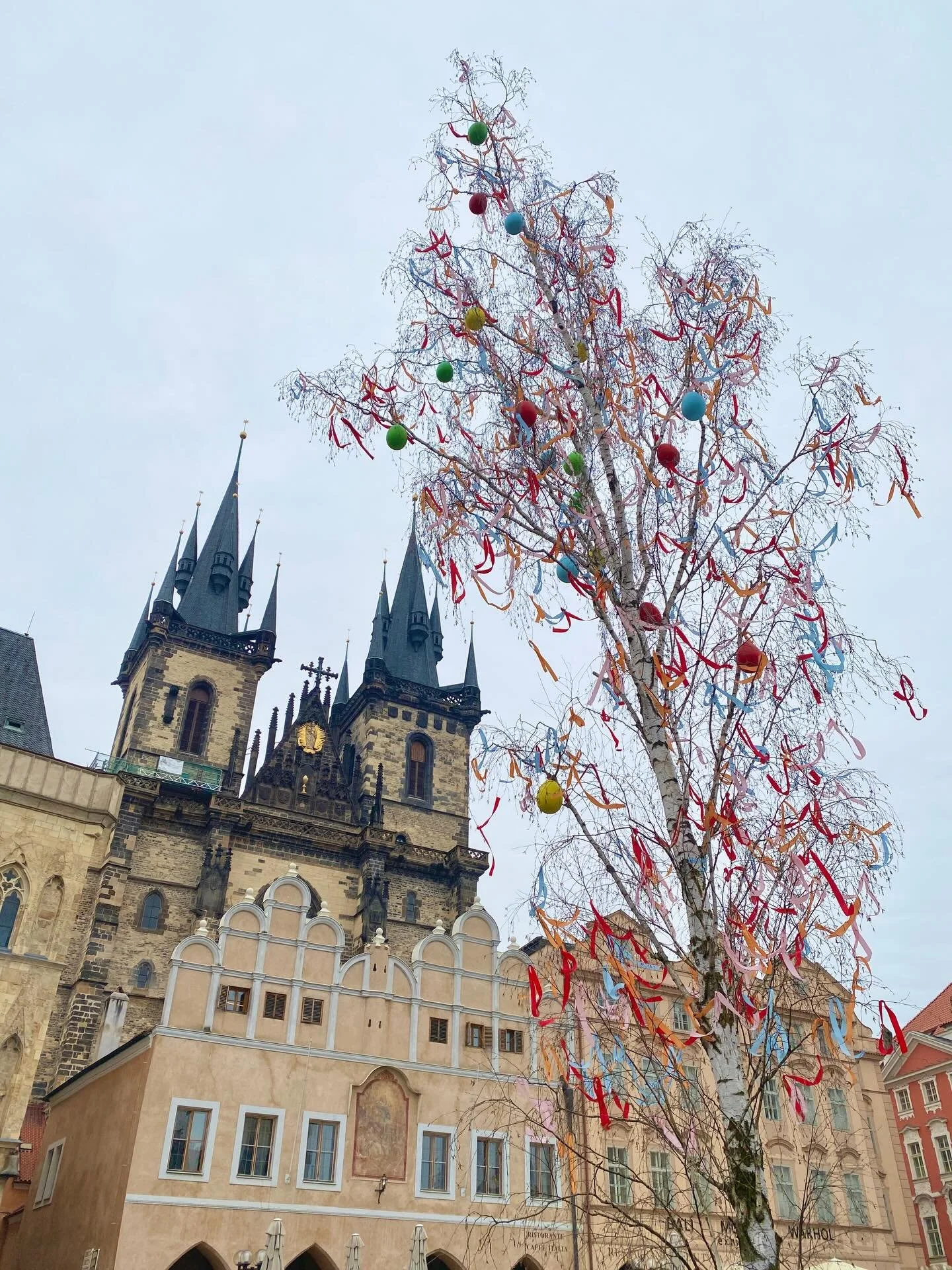 Shop&rsquo;s back open after a little spring pilgrimage to my favorite place to see my favorite artist. Praha &amp; Paul forever and ever 🤍 
.
.
.
#fruitandflower #praha #paulsimon #pivo #pilgrimage