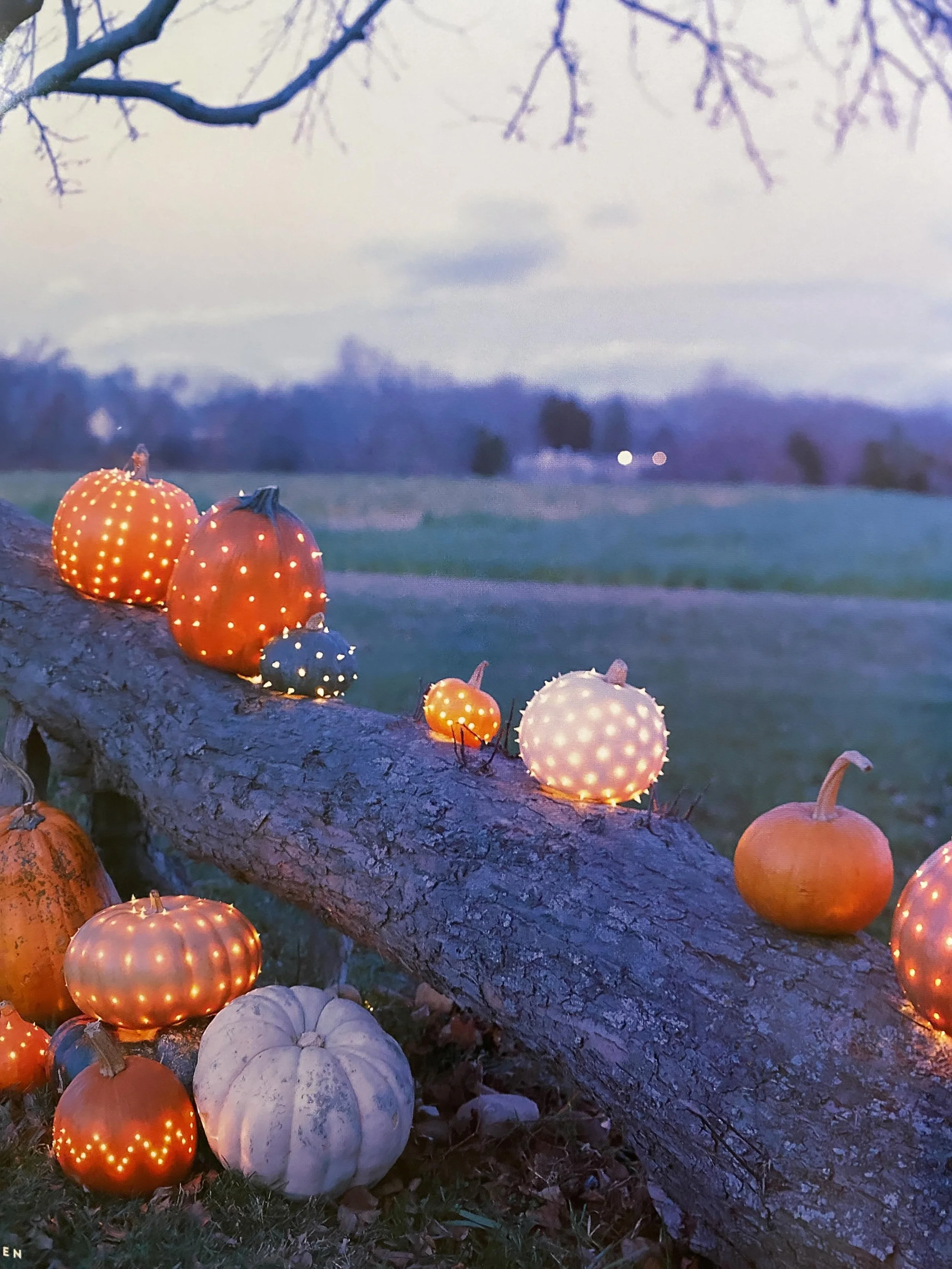 From the inspirational Best of Martha Stewart Living Halloween, published 2001. Sold out, but on the prowl for more copies! 🍁