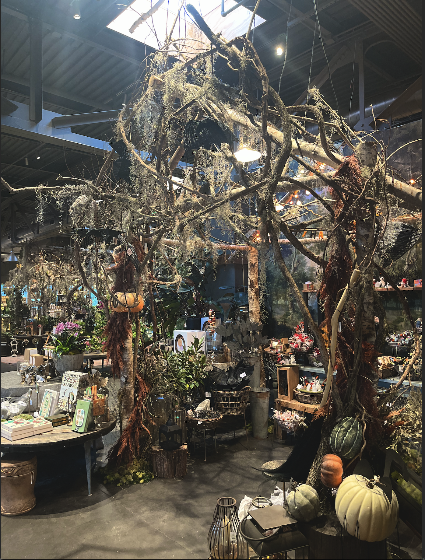 Screenshot 2025-12-07 at 11.18.44 AM.png