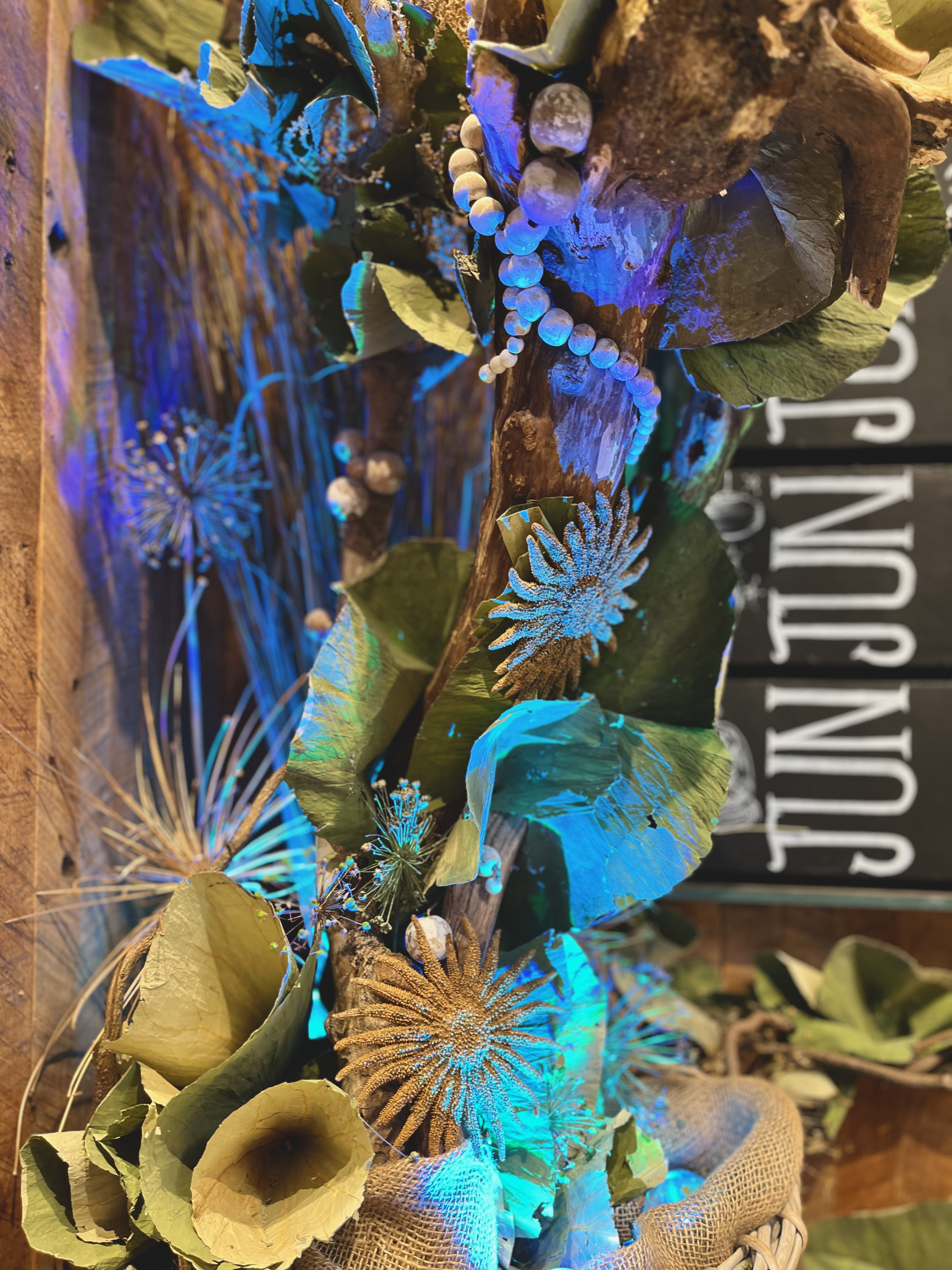 IMG_0104.png