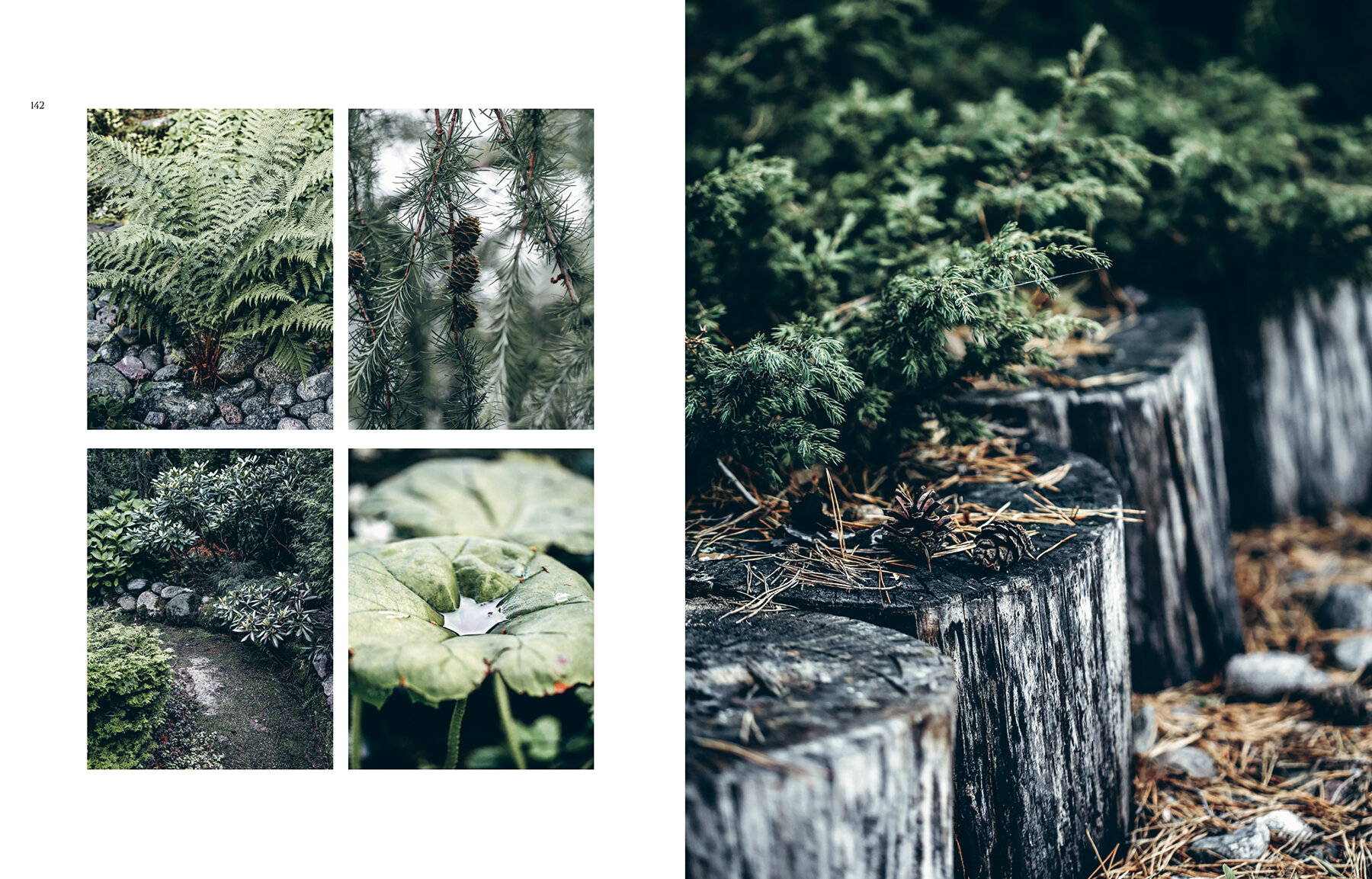 Dreamcozy_NordicGardenDesign_Eng_09.jpg