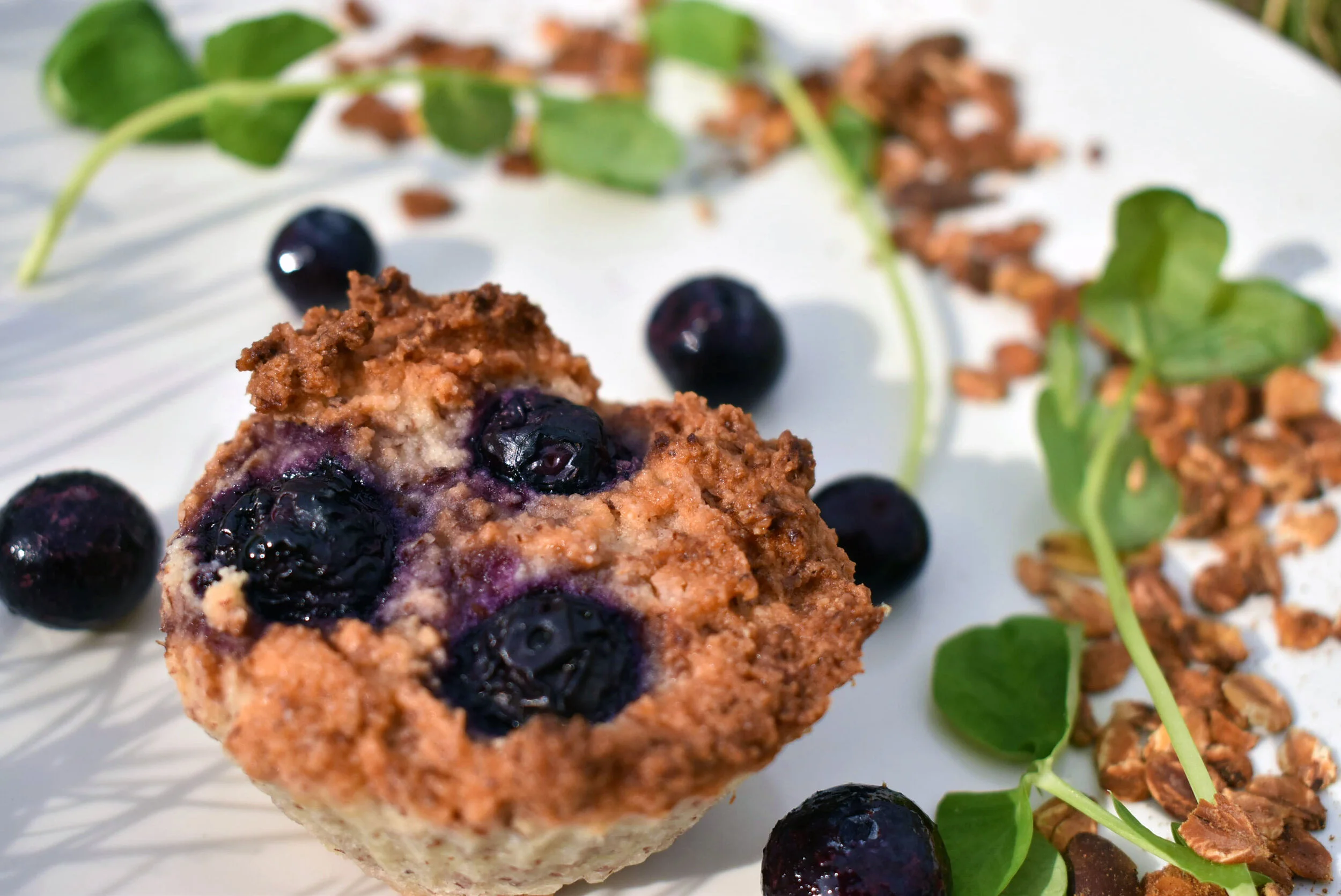 Blueberry Friand Cupcakes