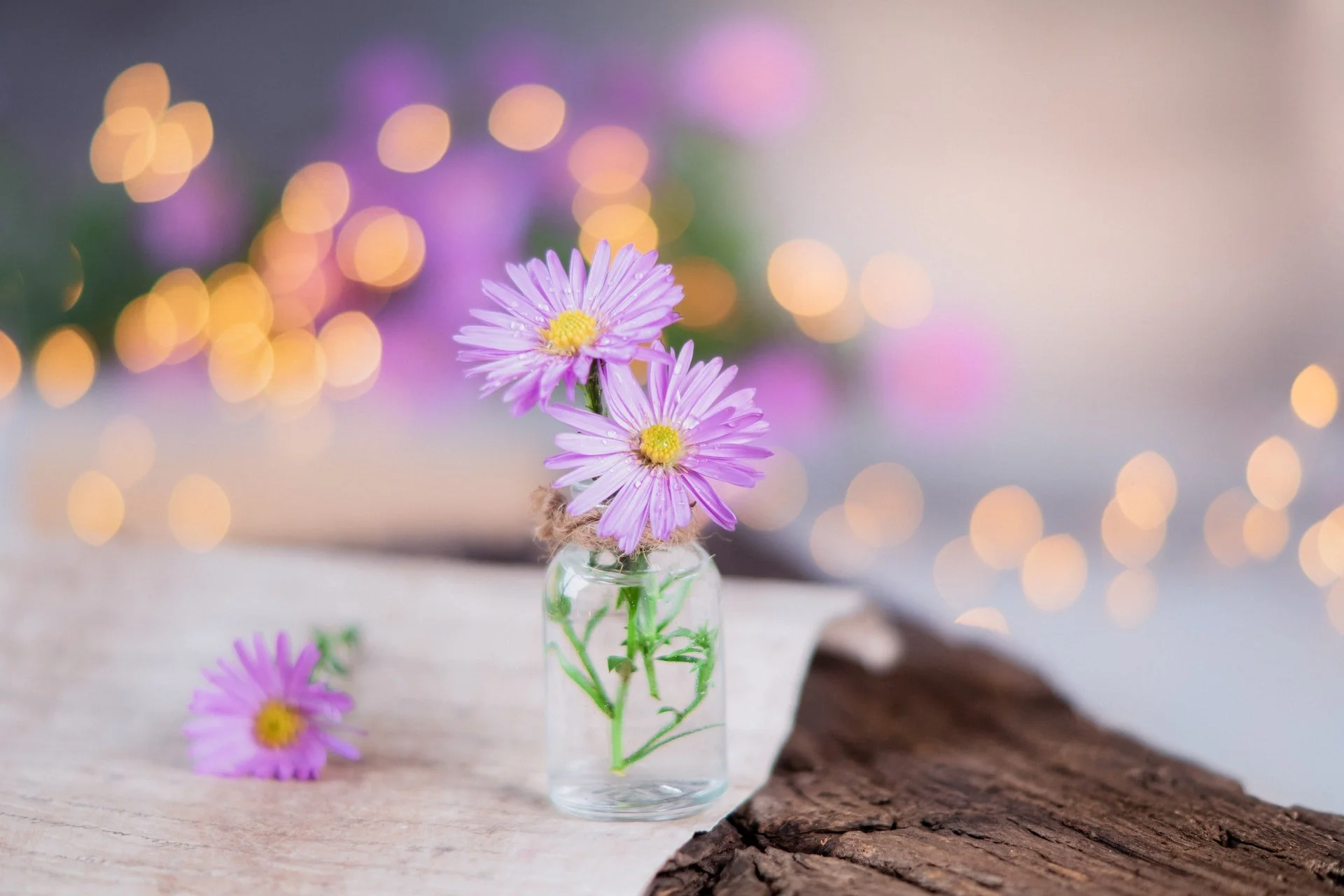 Do You Fear Gaining Weight? Try These 3 Somatic Practices