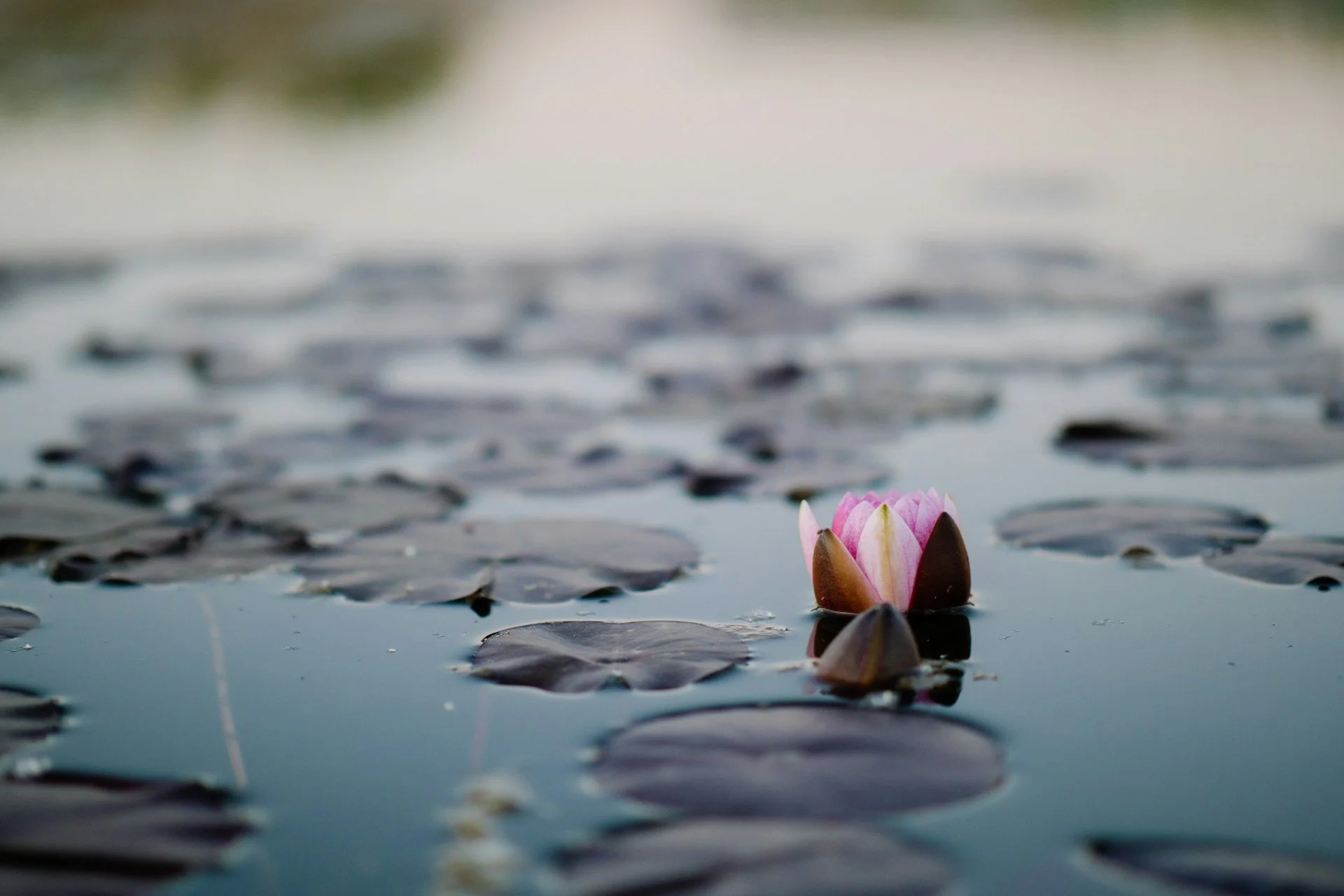 The Power of Finding and Trusting Your Inner Voice 