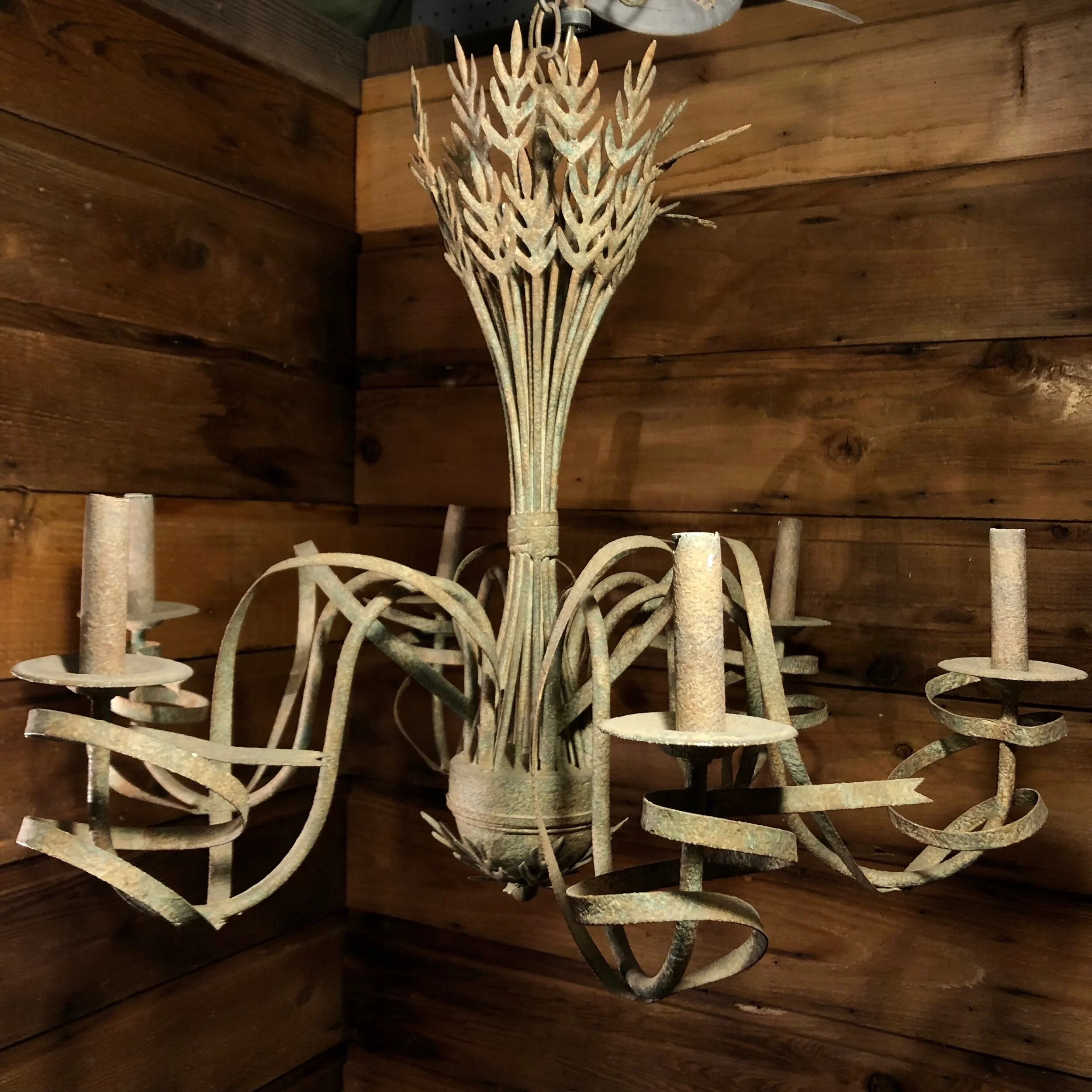 A5A8BD12-477E-43A1-ABD6-DC9E909B6D95