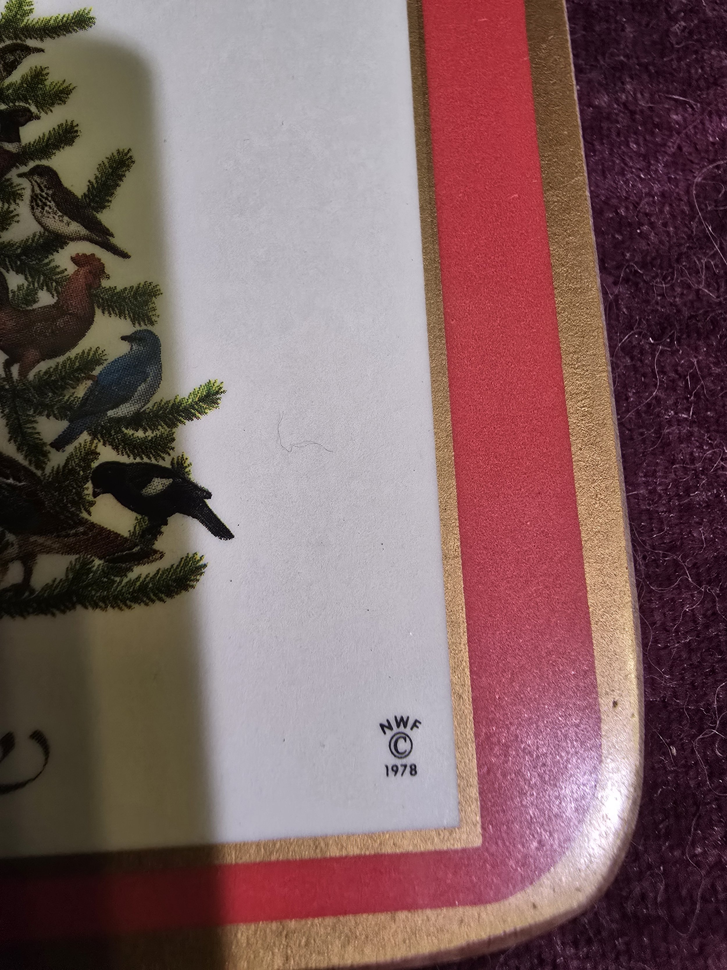 processed_64e9b20d62c44178a416dd7de1837d83.jpeg