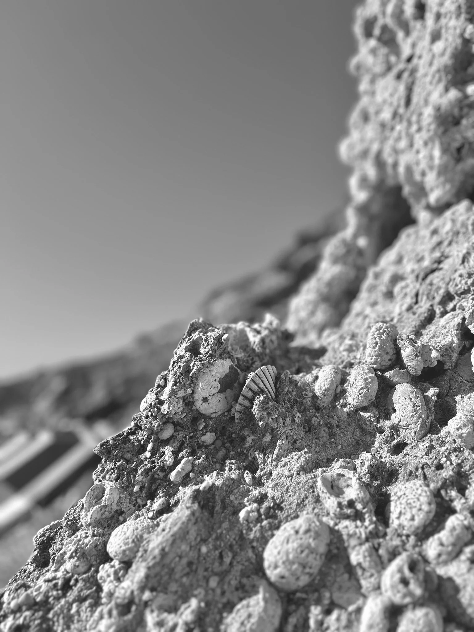 IMG_9714.jpeg