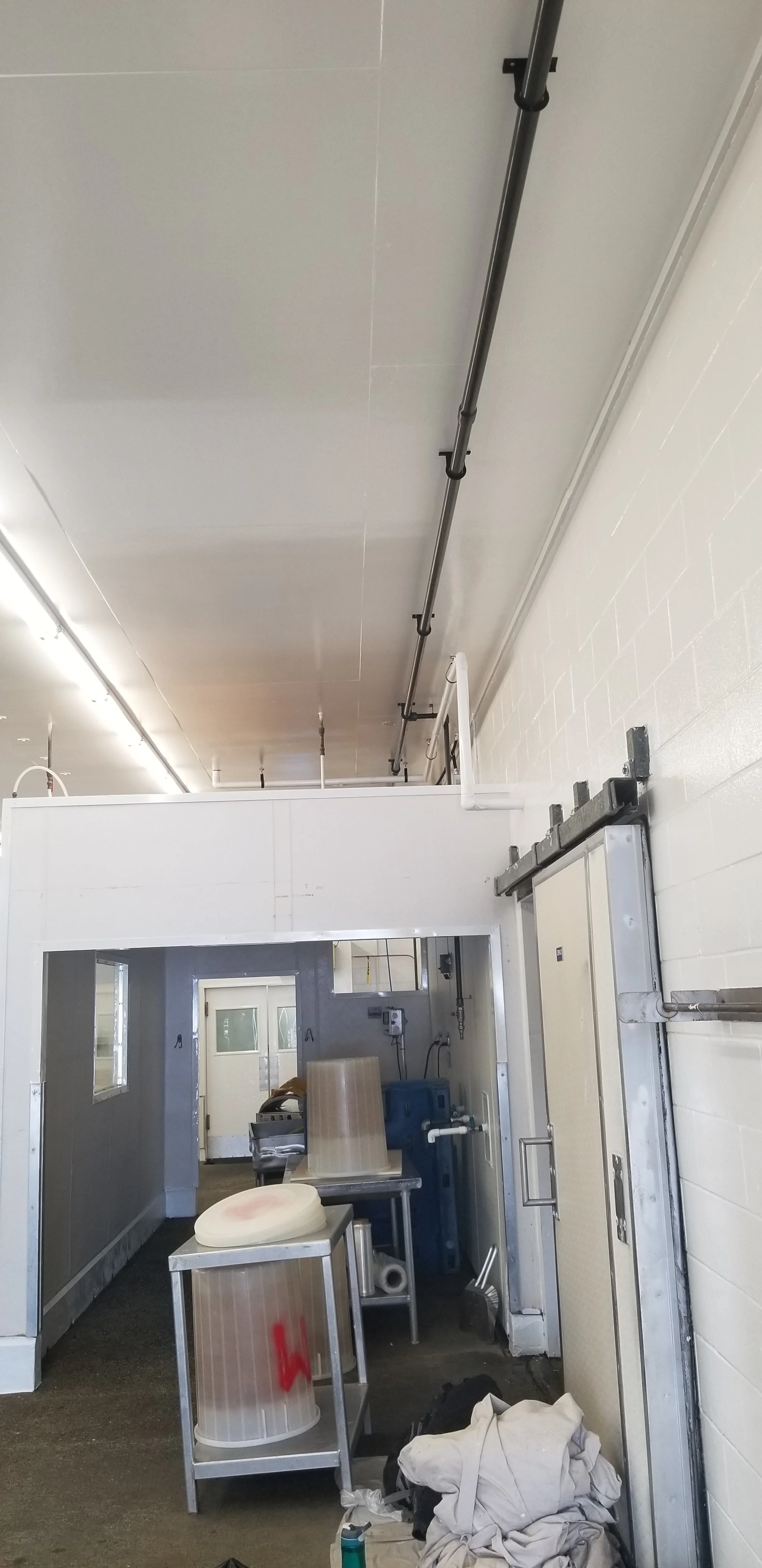 20190425_115814.jpg