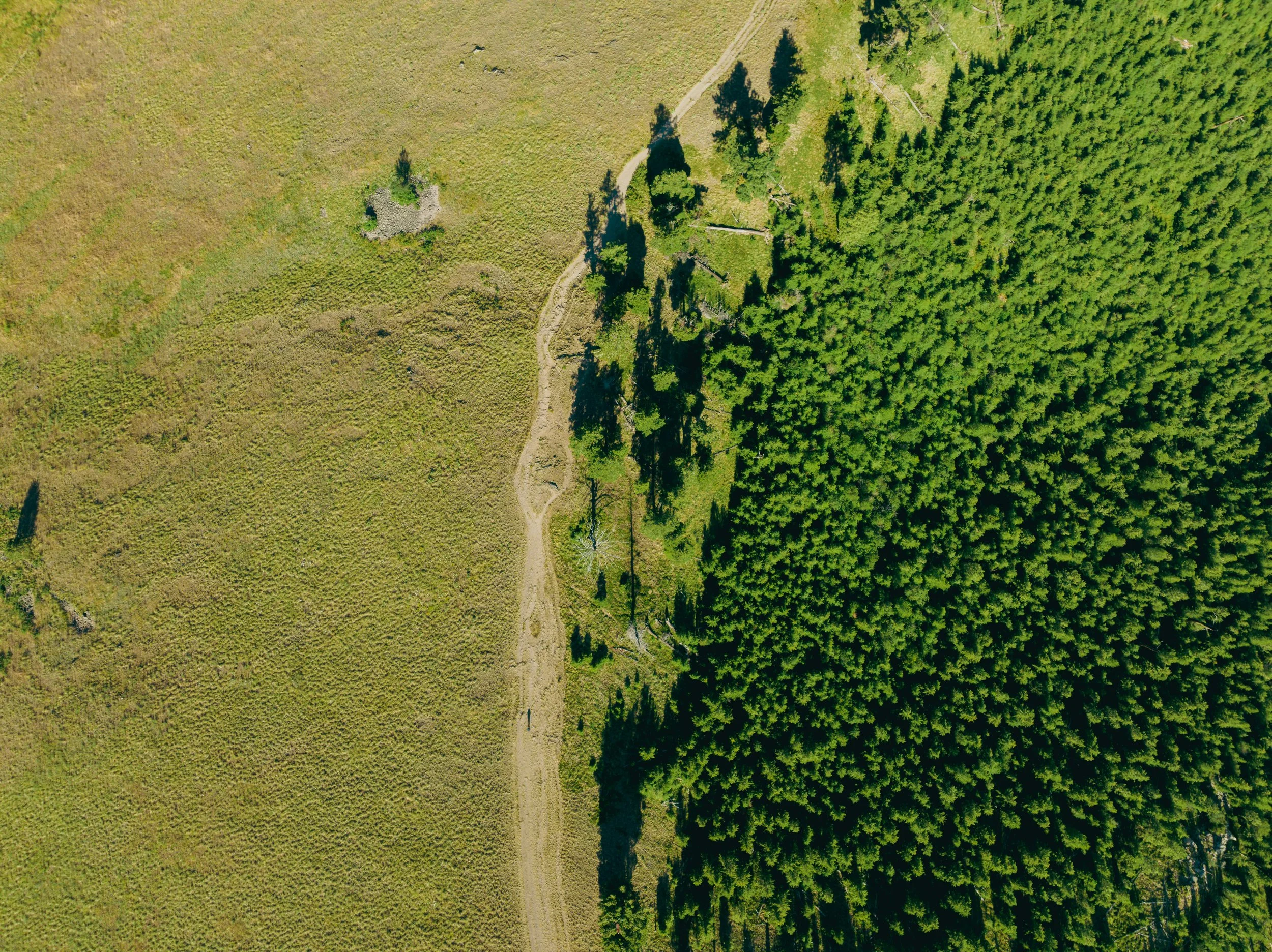 Carbon Footprint vs. ESG Strategy: How to Figure Out What You Actually Need