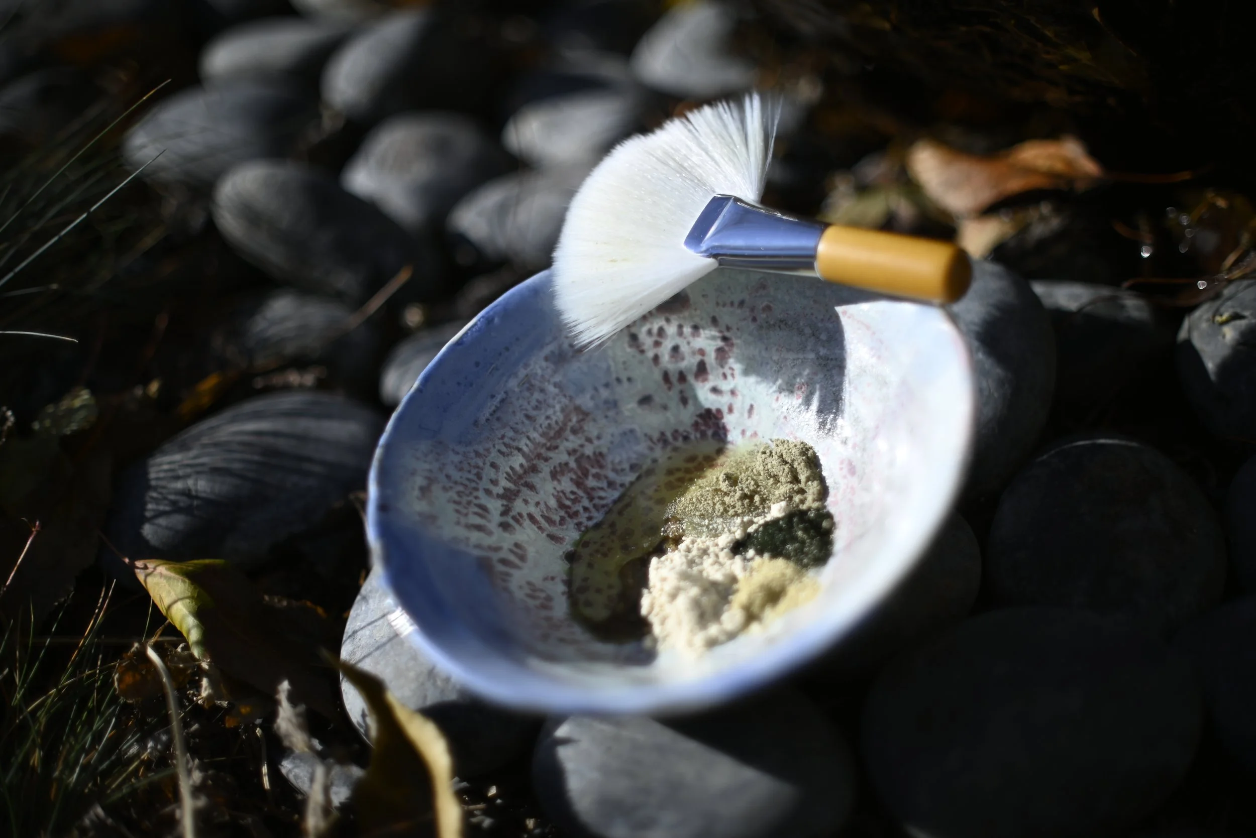 Returning to Fresh: A Shift in My Practice