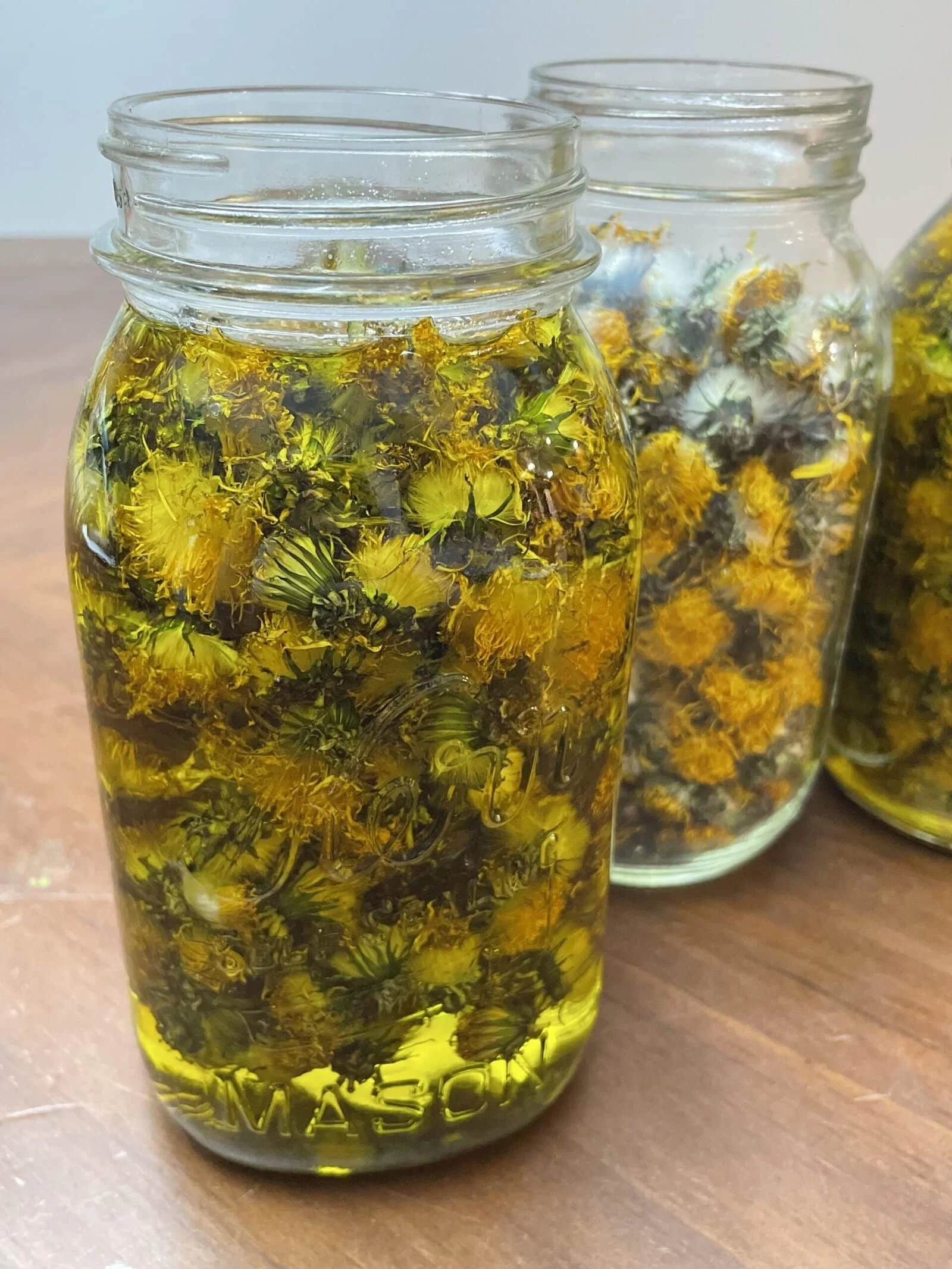 Dandelion Infused Oil