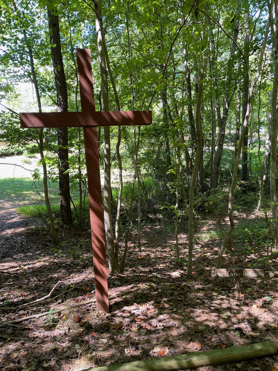 Jesus Carries His Cross