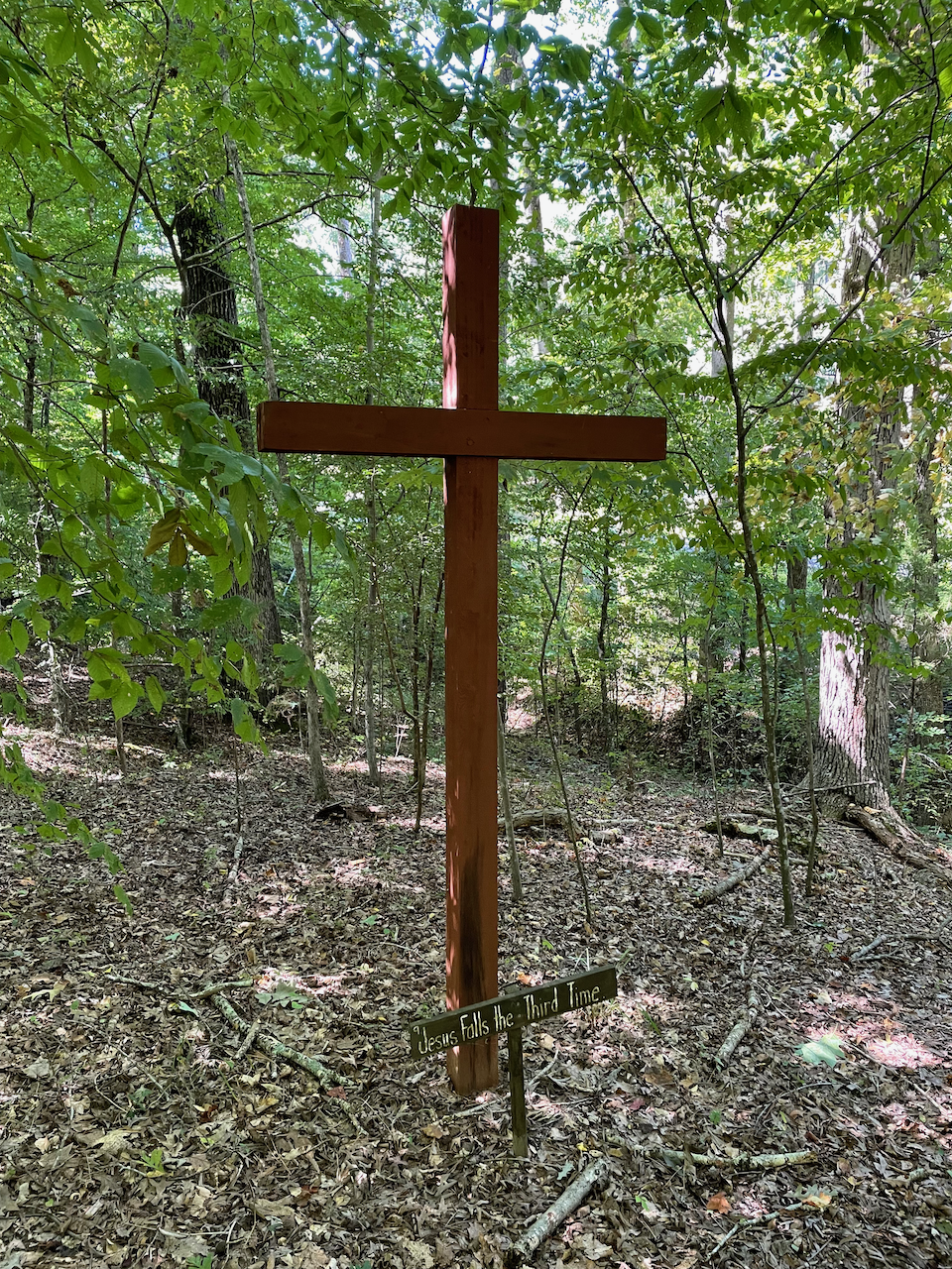 Jesus Falls the Third Time