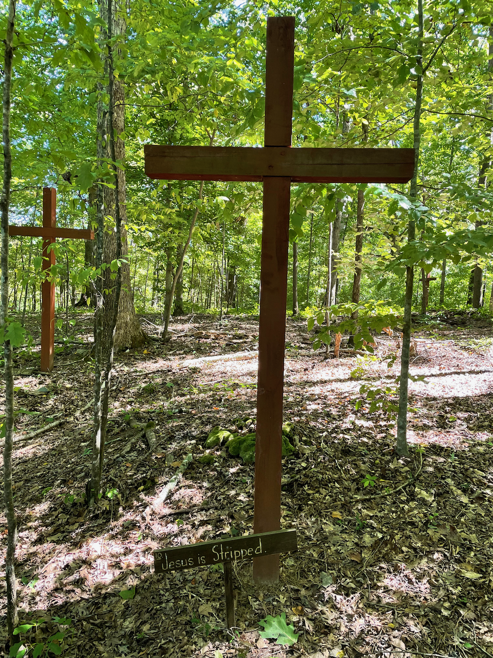 Jesus is Stripped