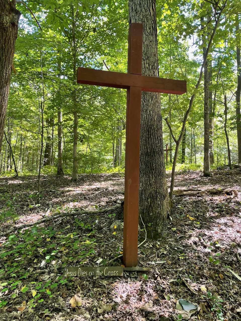 Jesus Dies on the Cross