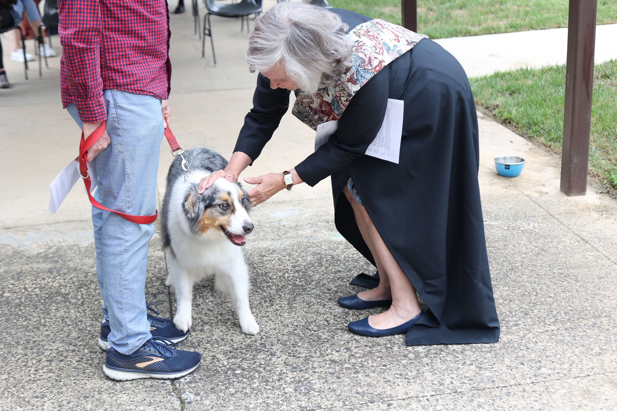 Scenes from yesterday's Blessing of the Animal service! We also laid to rest those pets who have departed from this mortal world.

Most high, omnipotent, good Lord, grant your people grace to renounce gladly the vanities of this world; that, followin