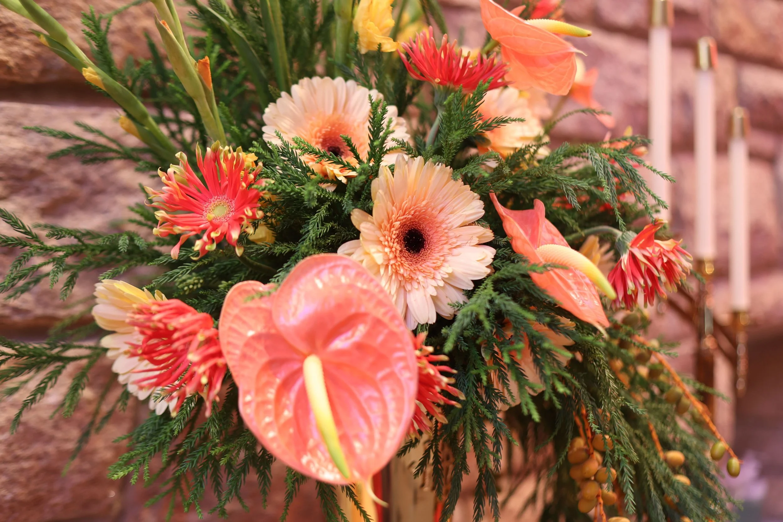 Sunday's altar flowers were given to the glory of God, and in memory of Elizabeth Burgess Bressler by Barbara and Garrett Bressler.