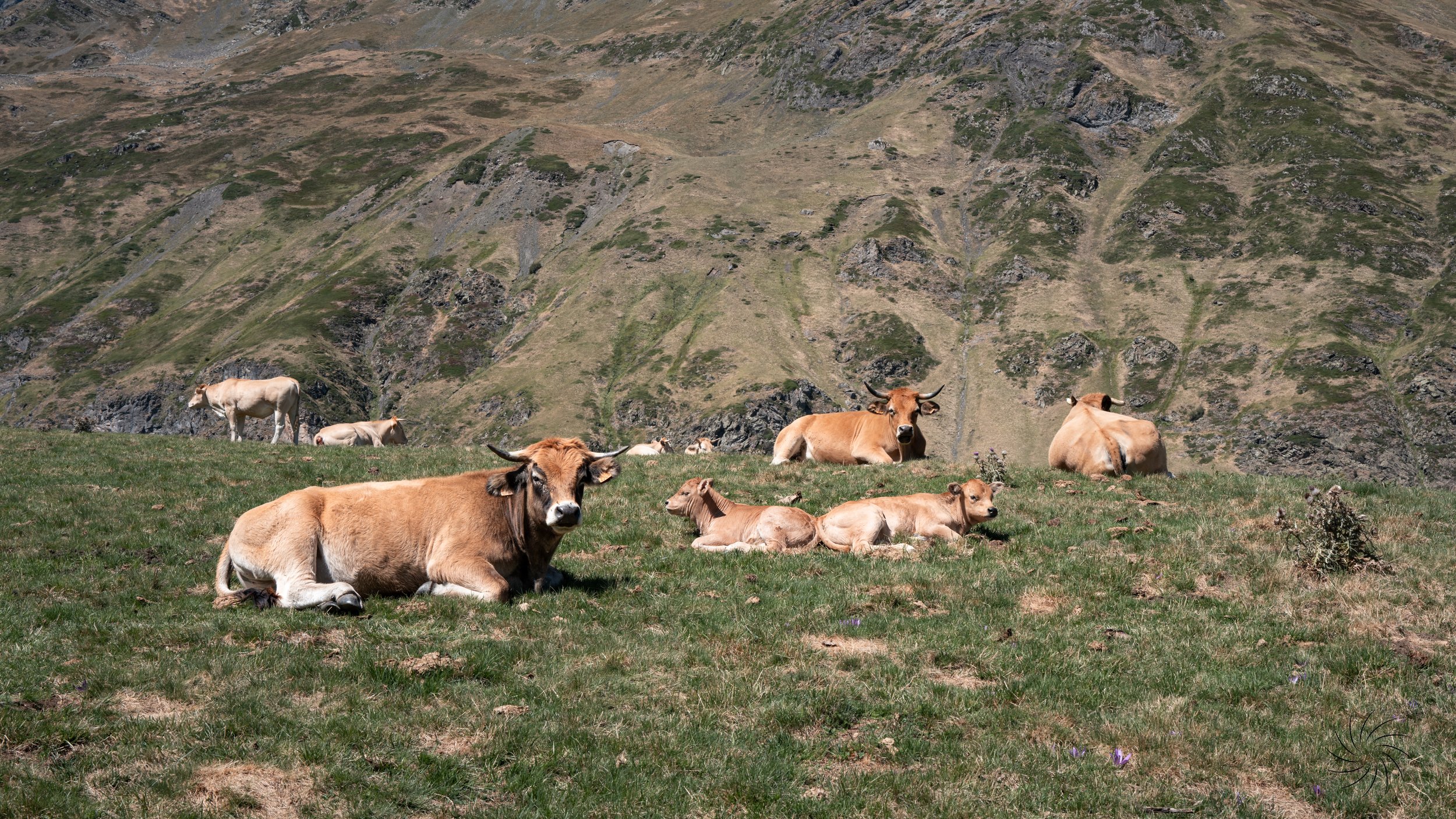 Les Pyrenees-12.jpg