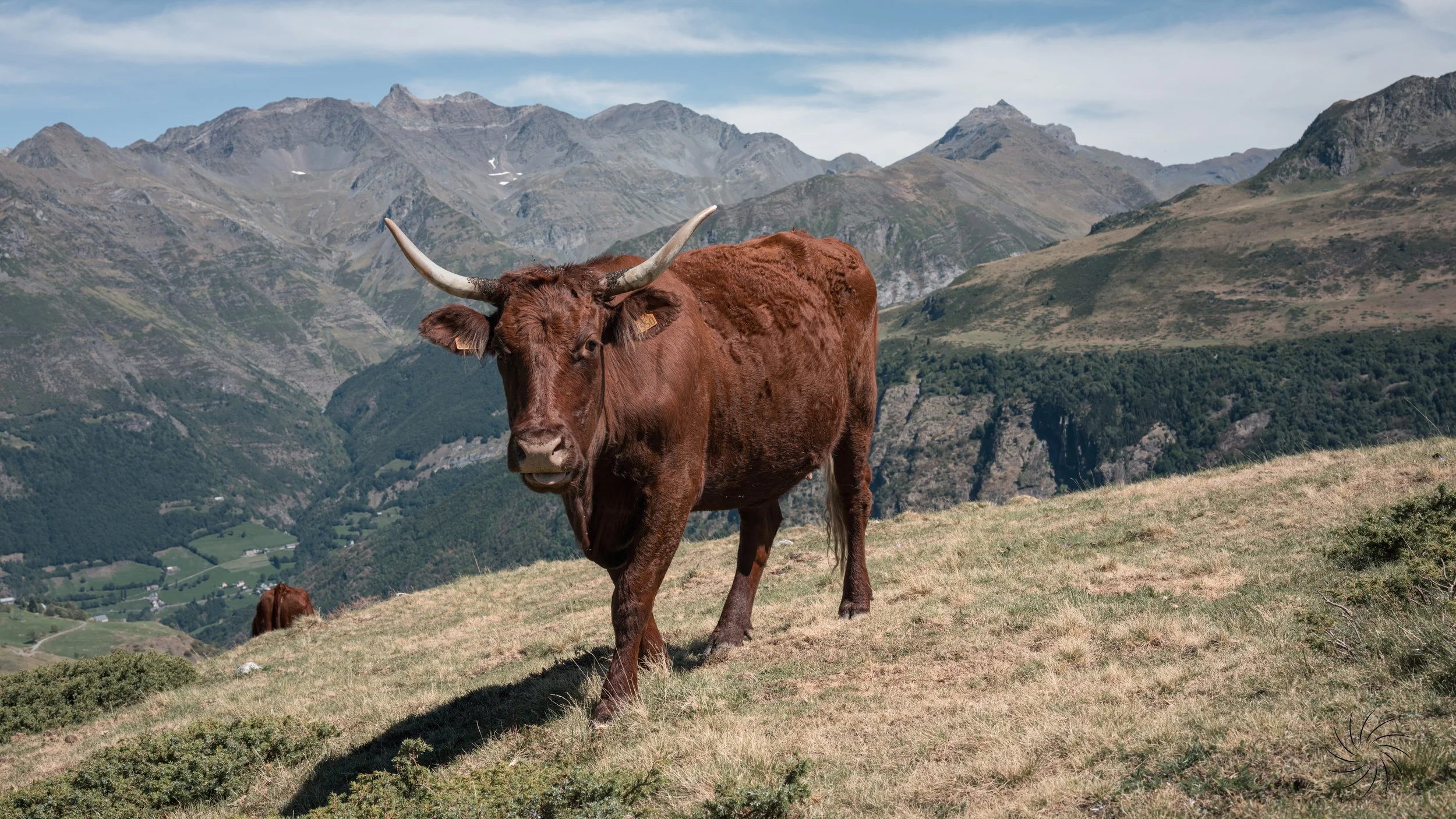 Les Pyrenees-13.jpg