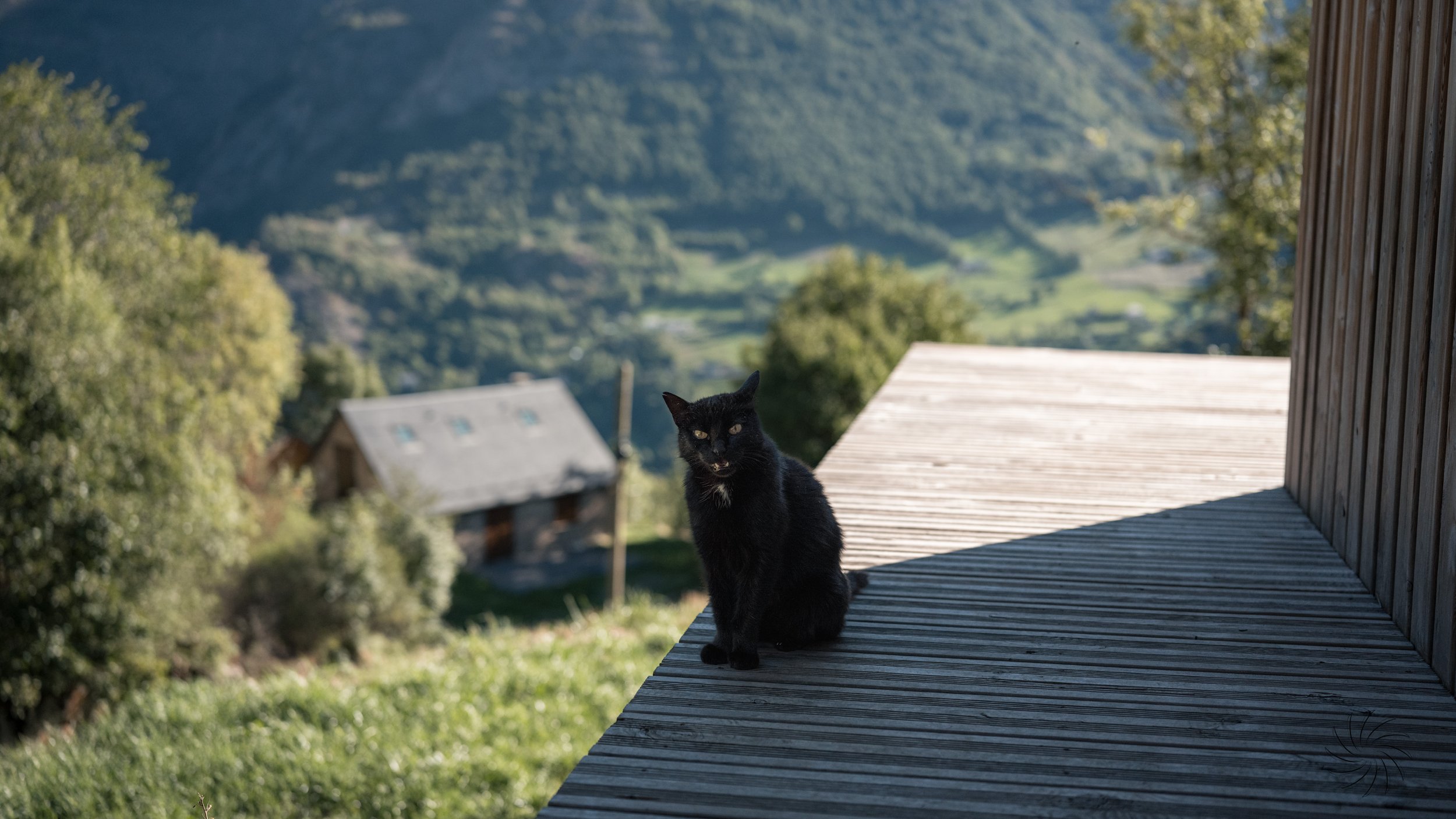 Les Pyrenees-17.jpg