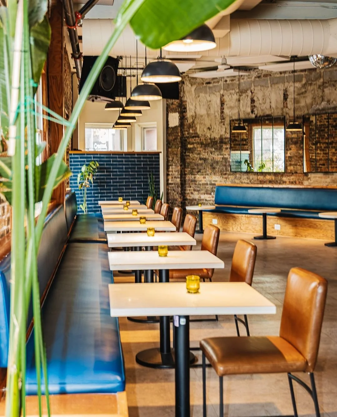 YOUR WEEKLY AGENDA AT THE LOCAL WINE BUCKET --> 🍷🪣⁠
⁠
⁠
WINE TASTING⁠
&bull; Thursday 1/22 Rare Wine-uary: Tasting wines from The Auvergne, France 6-9pm⁠
⁠
LATIN LINGO TUESDAYS ⁠
&bull; Latin Lingo: records, wines, cocktails, &amp; dominos by Ba