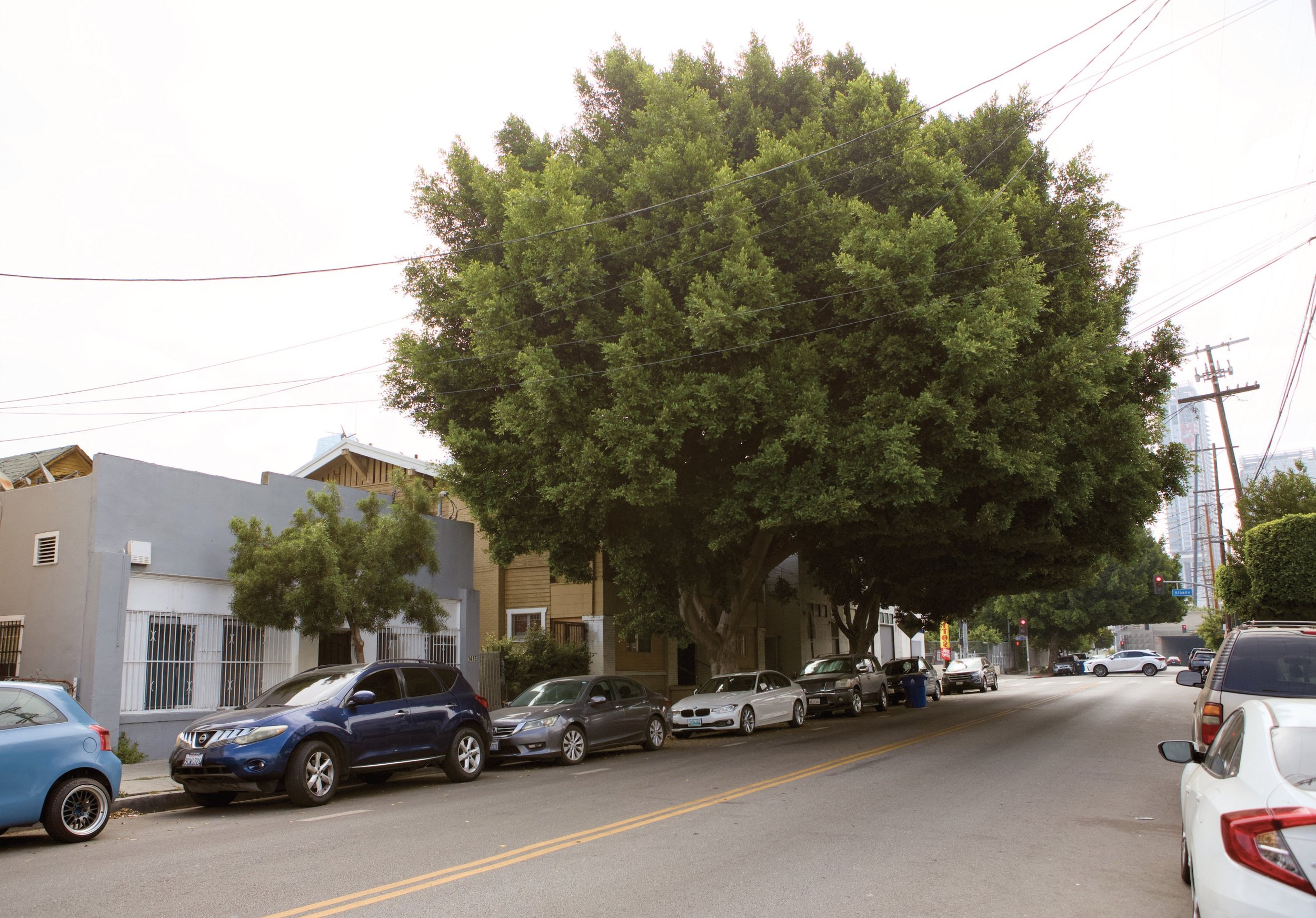 11th 1411 - MLS Photos - 4.jpg