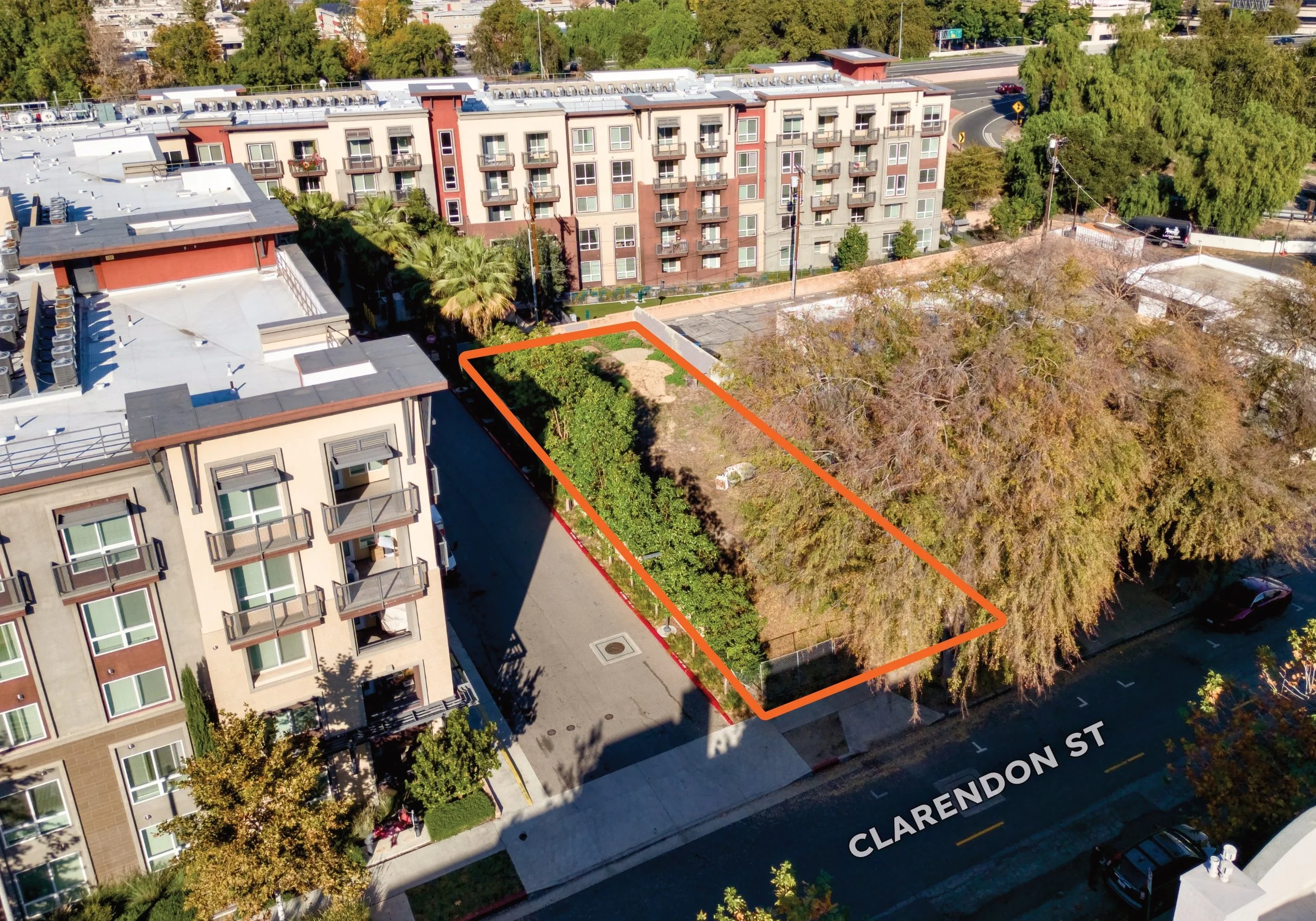 Clarendon - from OM - 3.jpeg