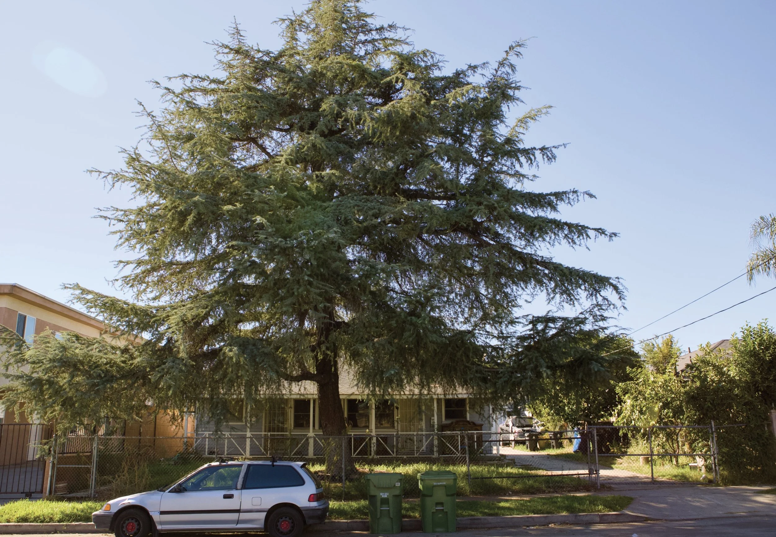 Simpson 6833 - MLS - 2.jpg