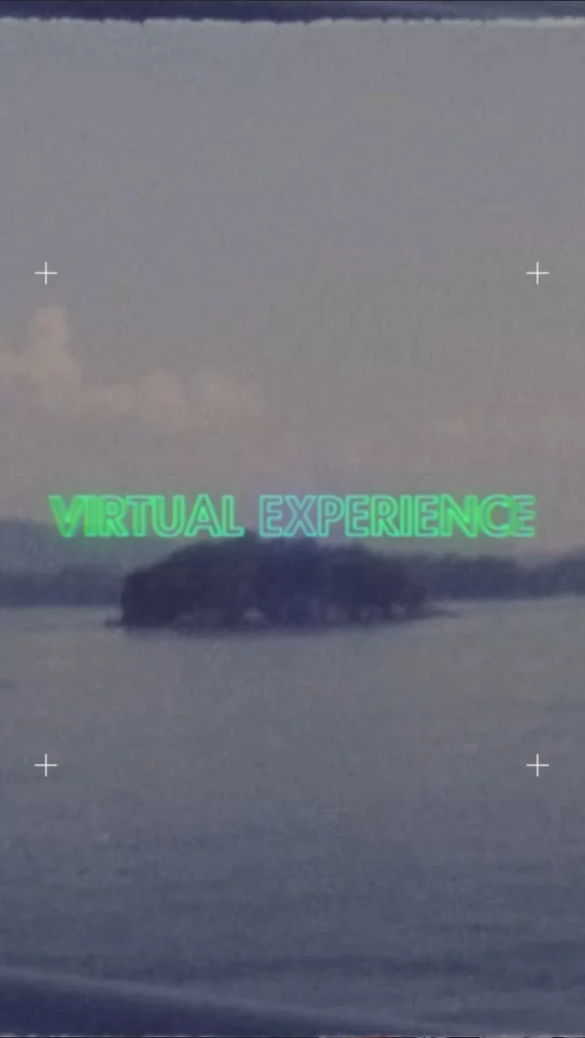 VIRTUAL EXPERIENCE